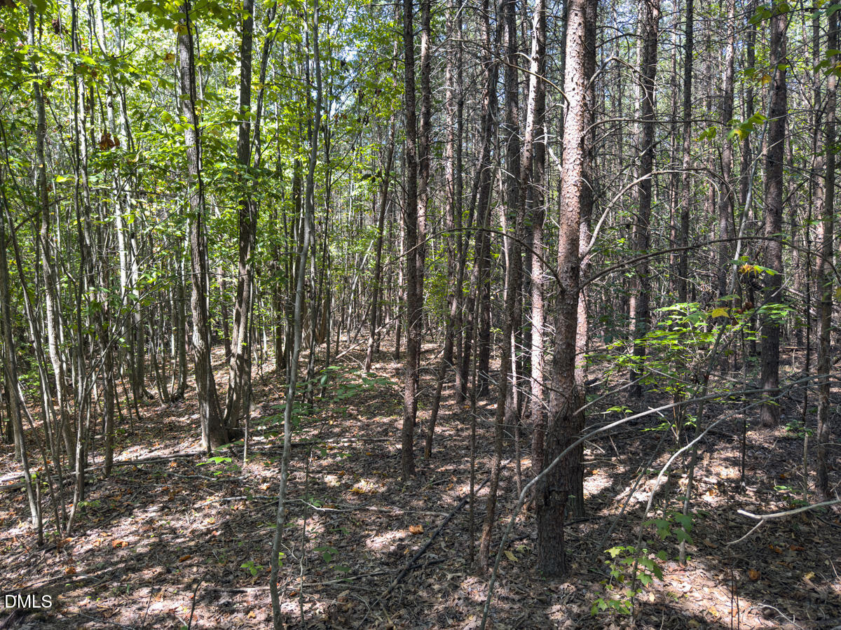 00 Park Springs Road Property Photo 43