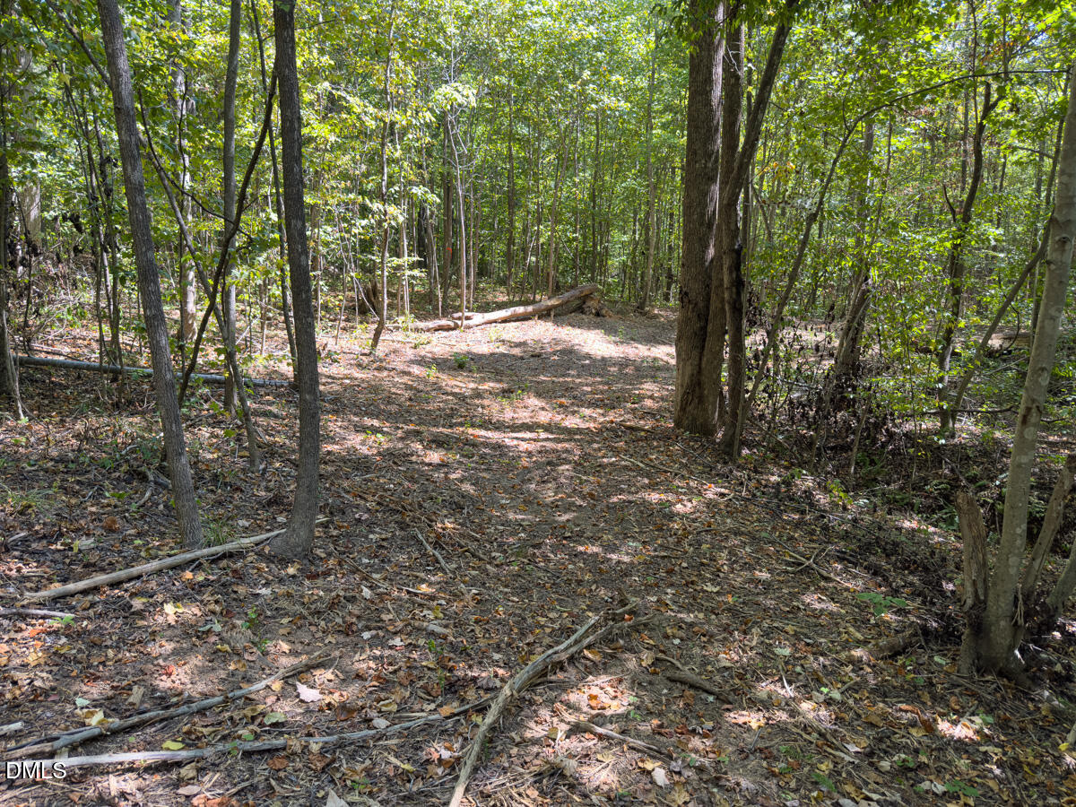 00 Park Springs Road Property Photo 46
