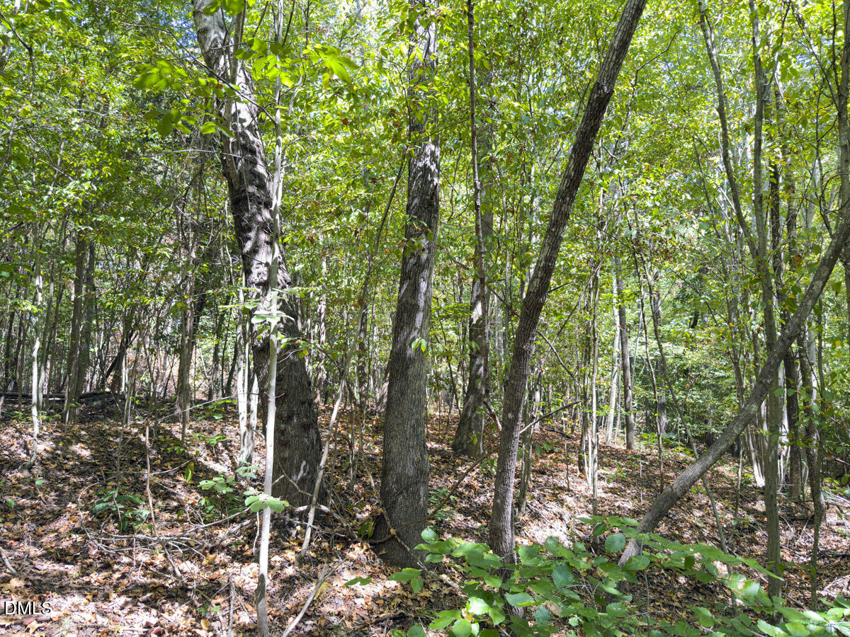 00 Park Springs Road Property Photo 49