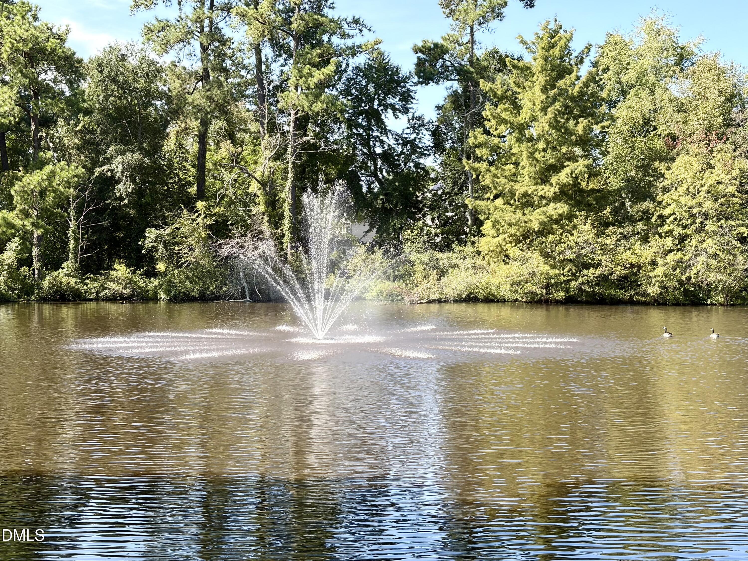 3607 Massey Pond Trail Property Photo 37