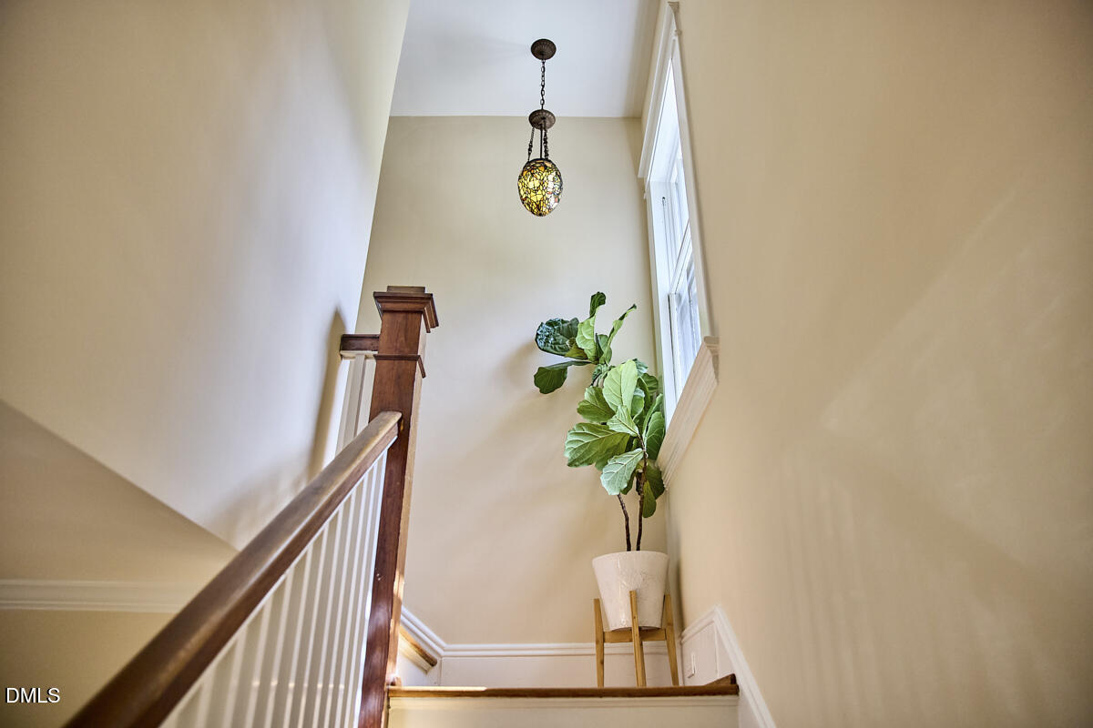517 Cole Street Property Photo 38
