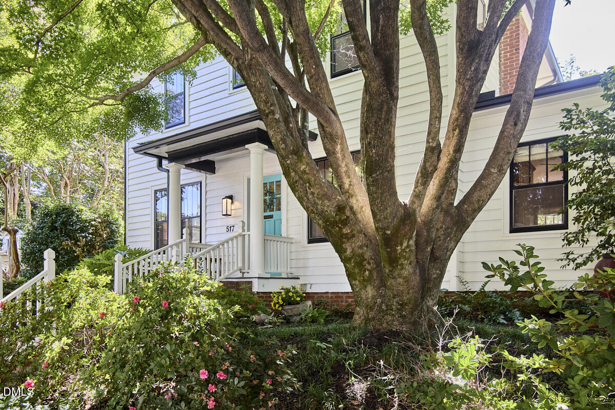 517 Cole Street Property Photo 50