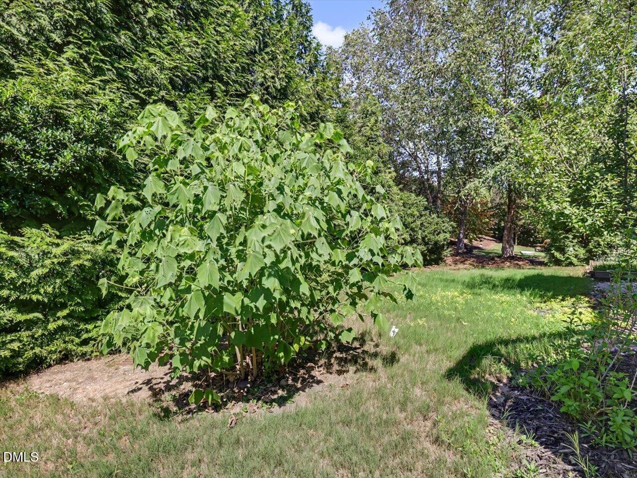 1444 Padstone Drive Property Photo 80