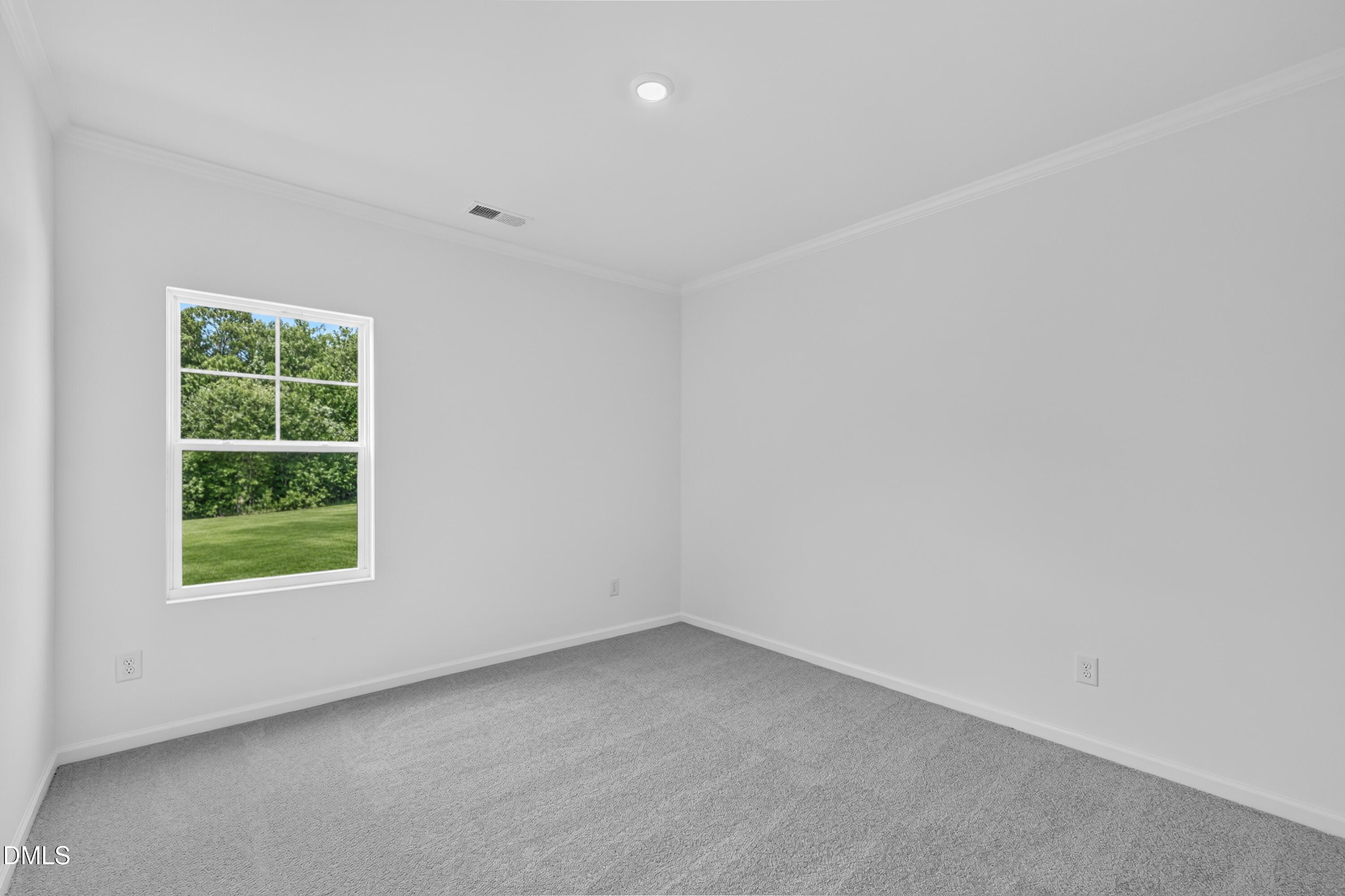 120 Tarnet Trail Property Photo 18