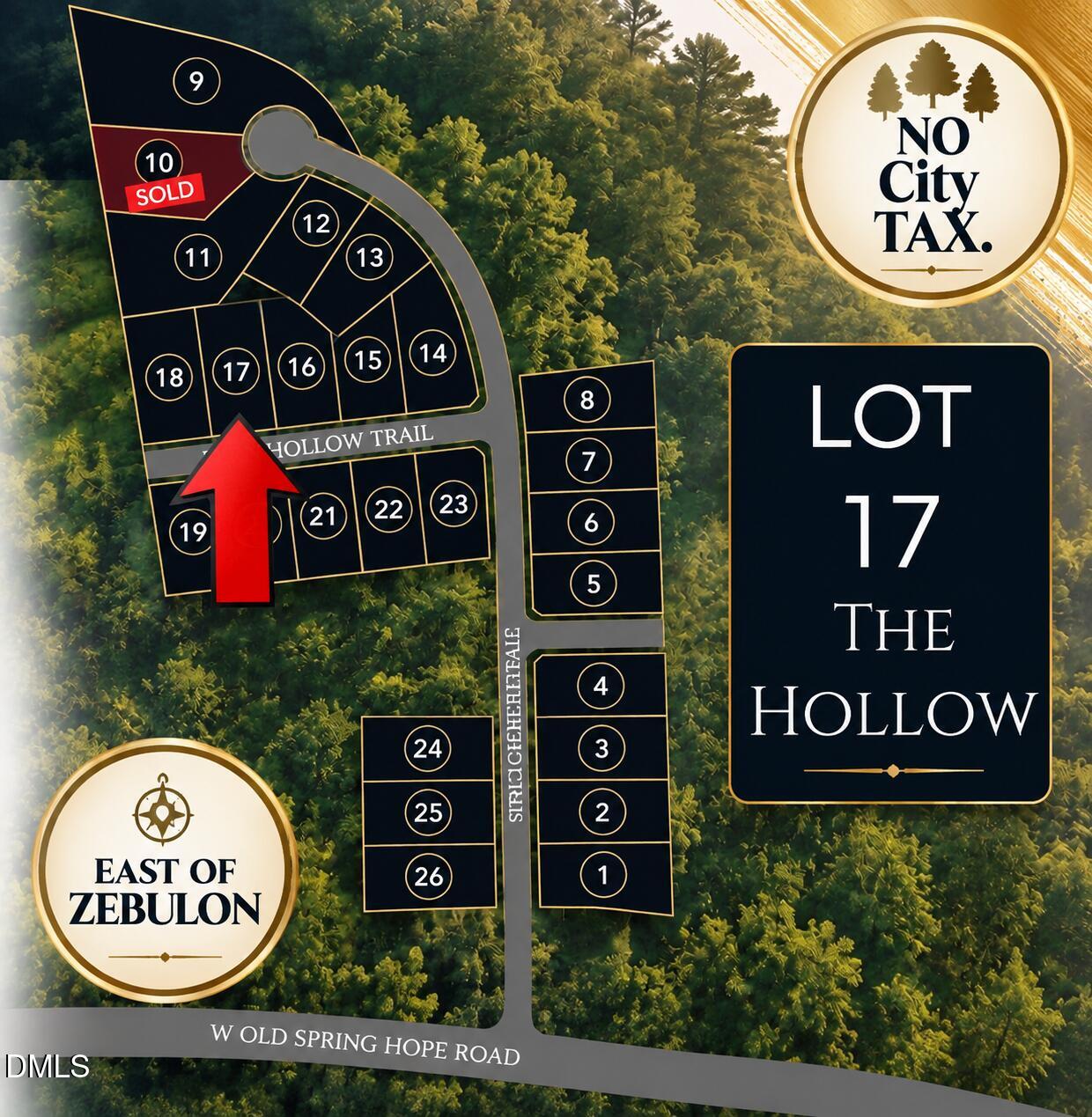 Lot 17 Fern Hollow Trail Property Photo 1