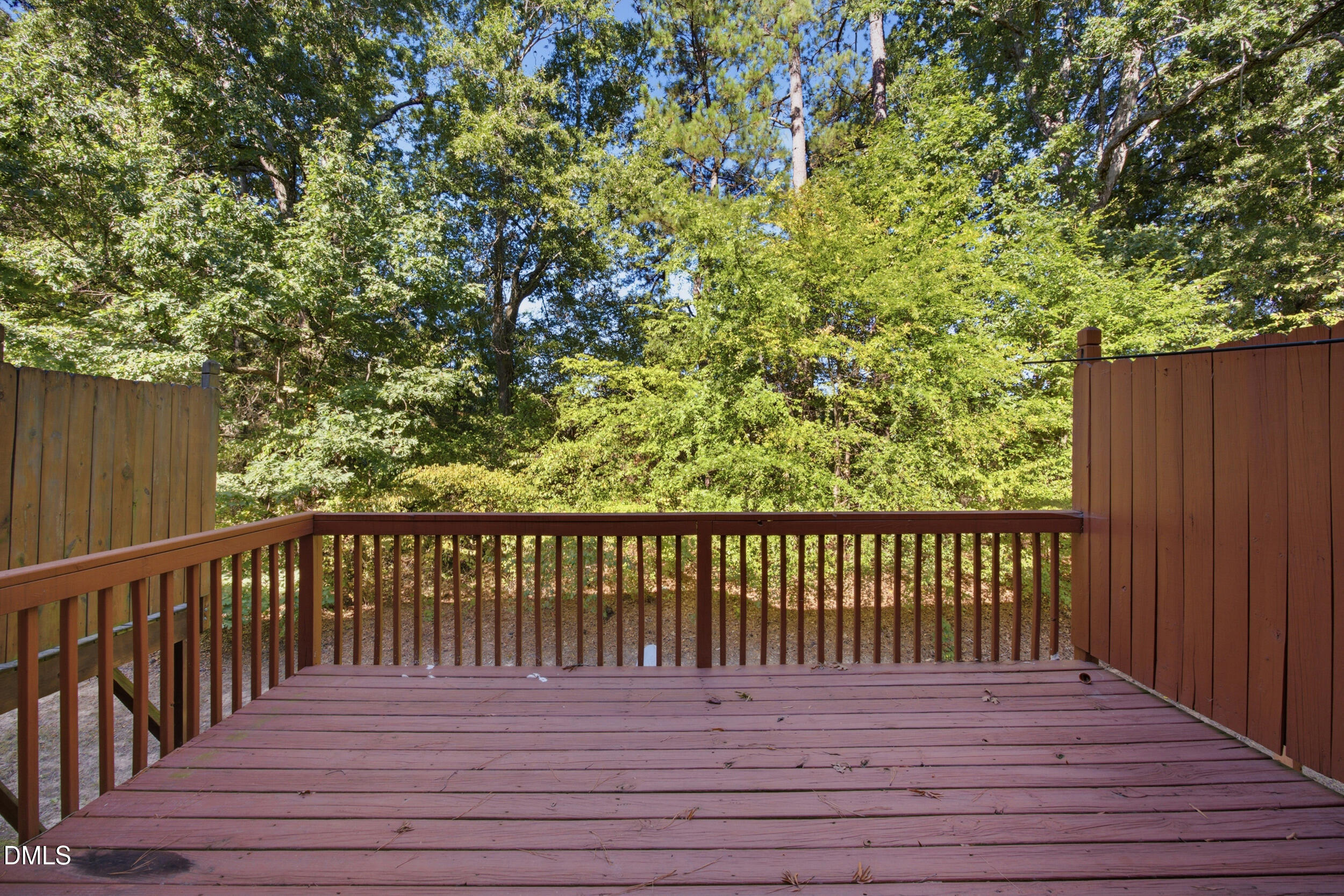 316 Linden Park Lane Property Photo 12