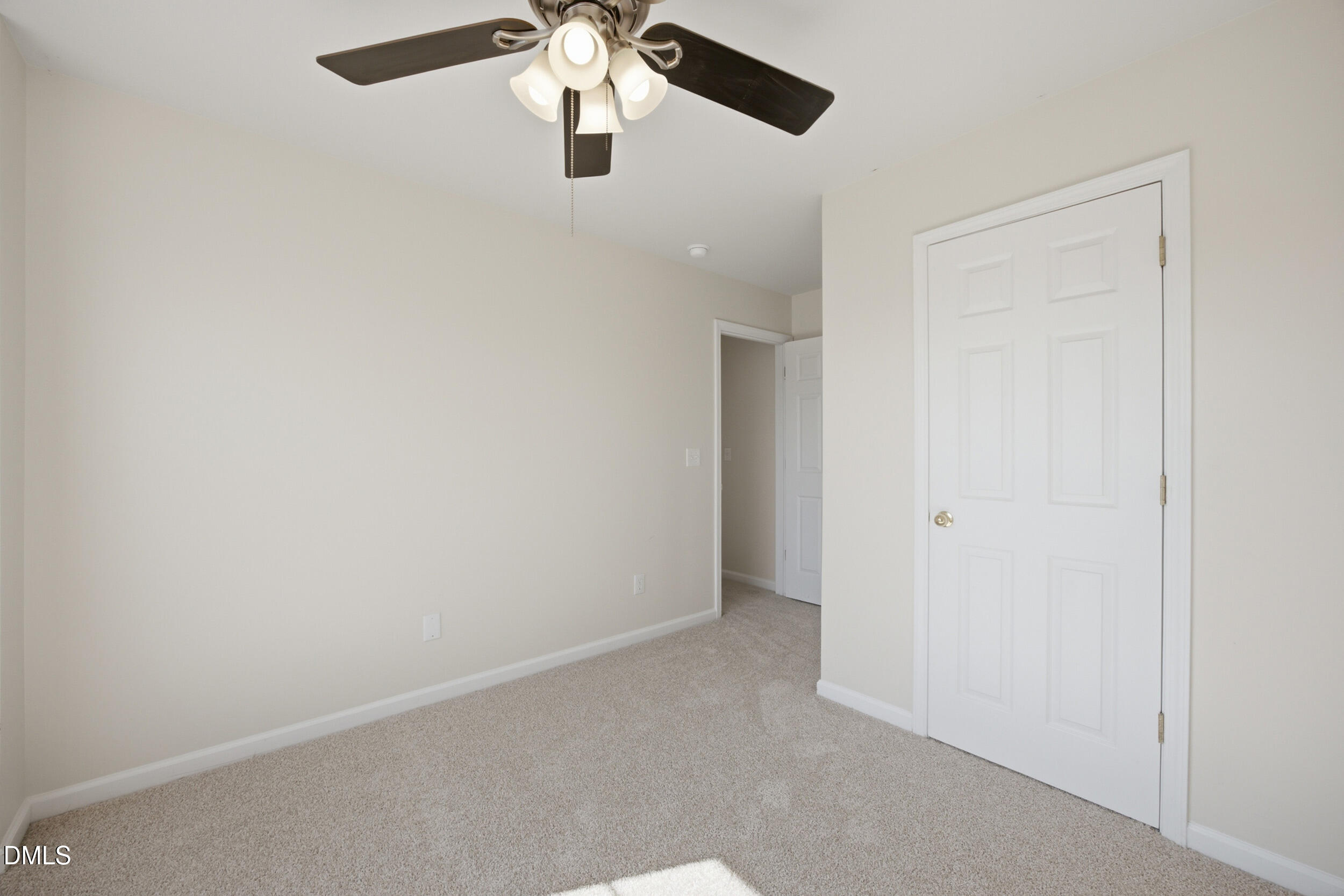 316 Linden Park Lane Property Photo 29