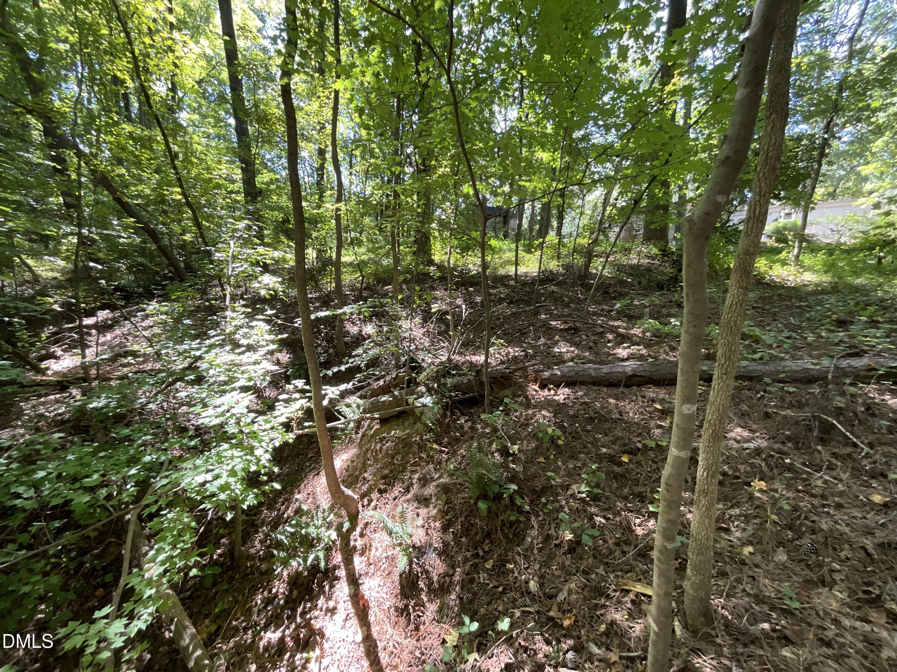 0 Green Lane Property Photo 17