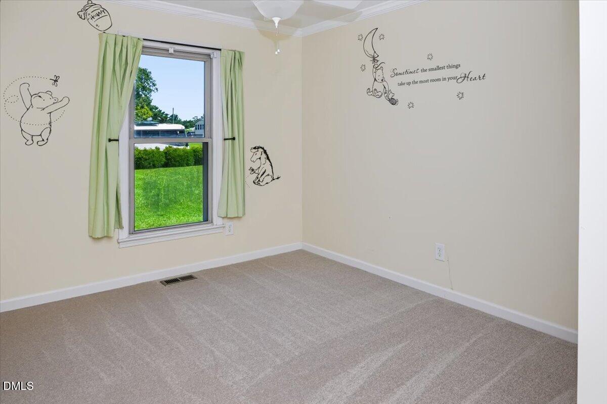 101 Wildberry Court Property Photo 23