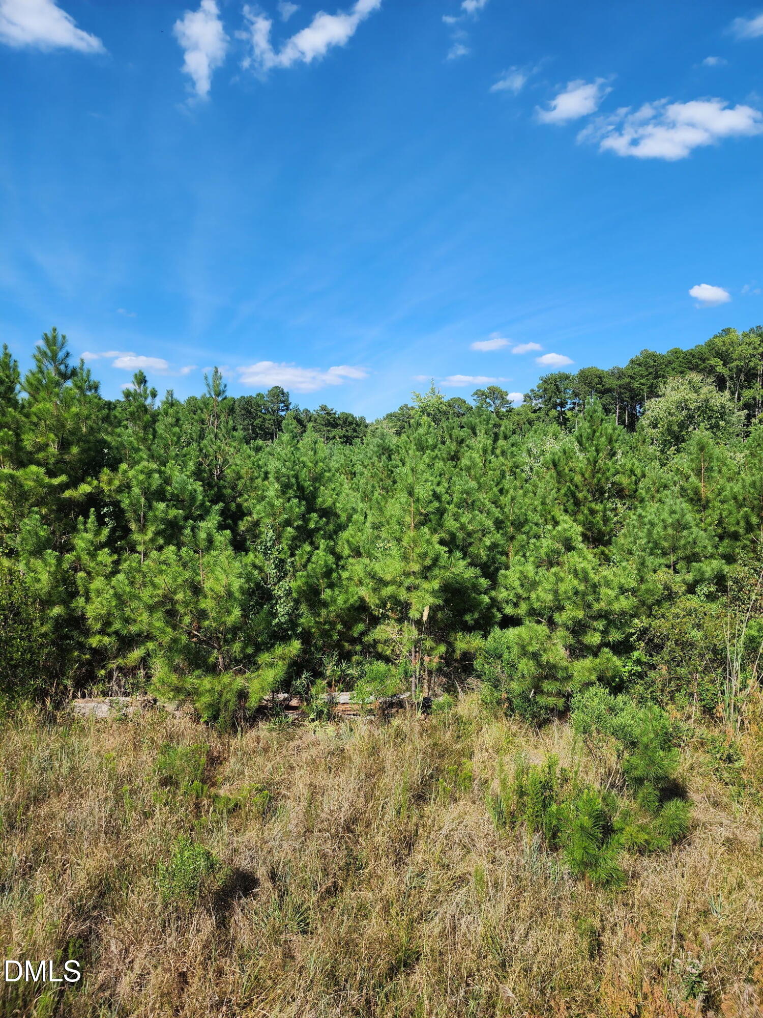 0 Ten Ten Road Property Photo 1