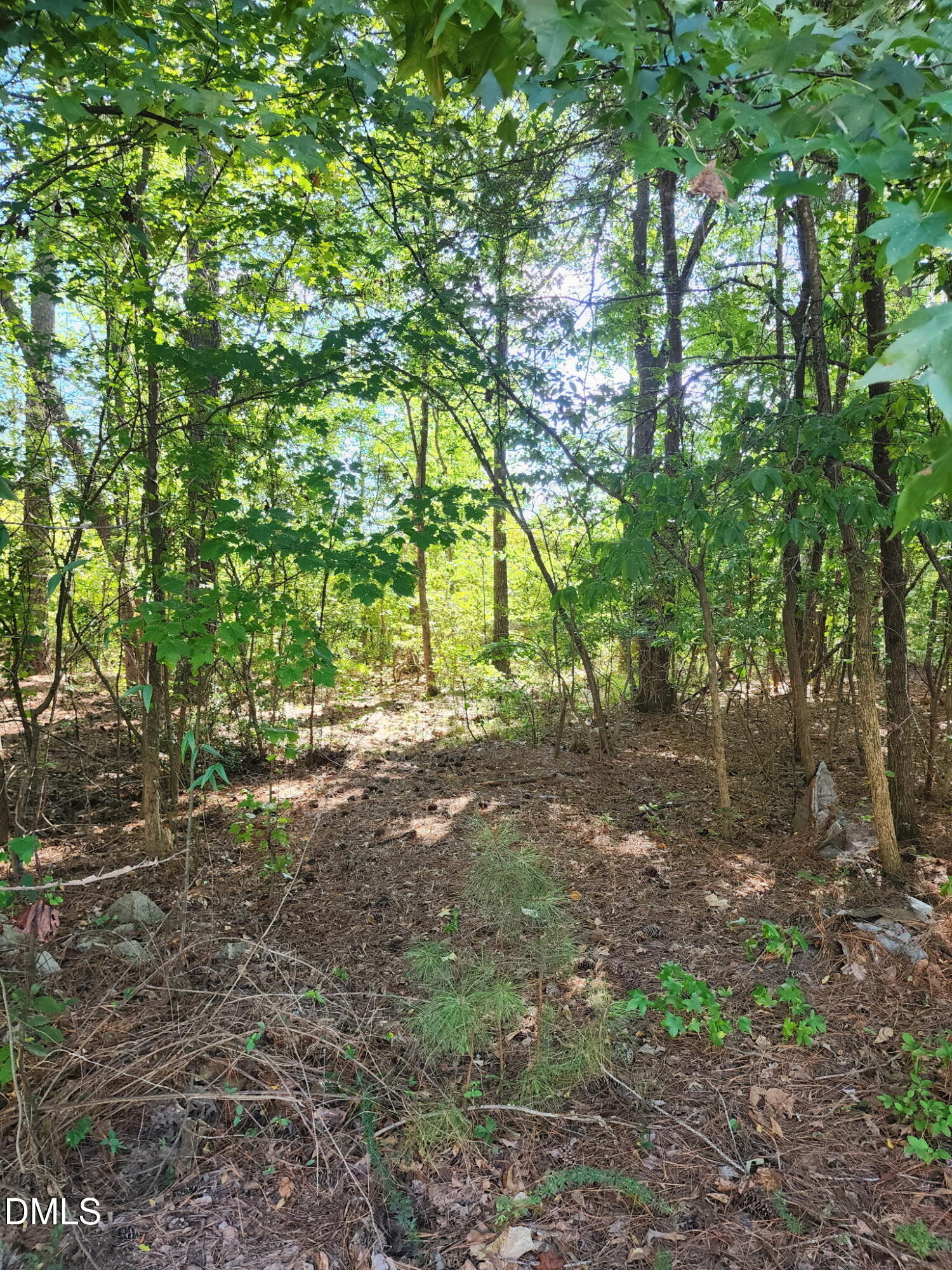 0 Ten Ten Road Property Photo 2