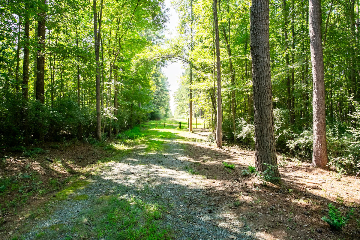 873 Six Mile Road Property Photo 5