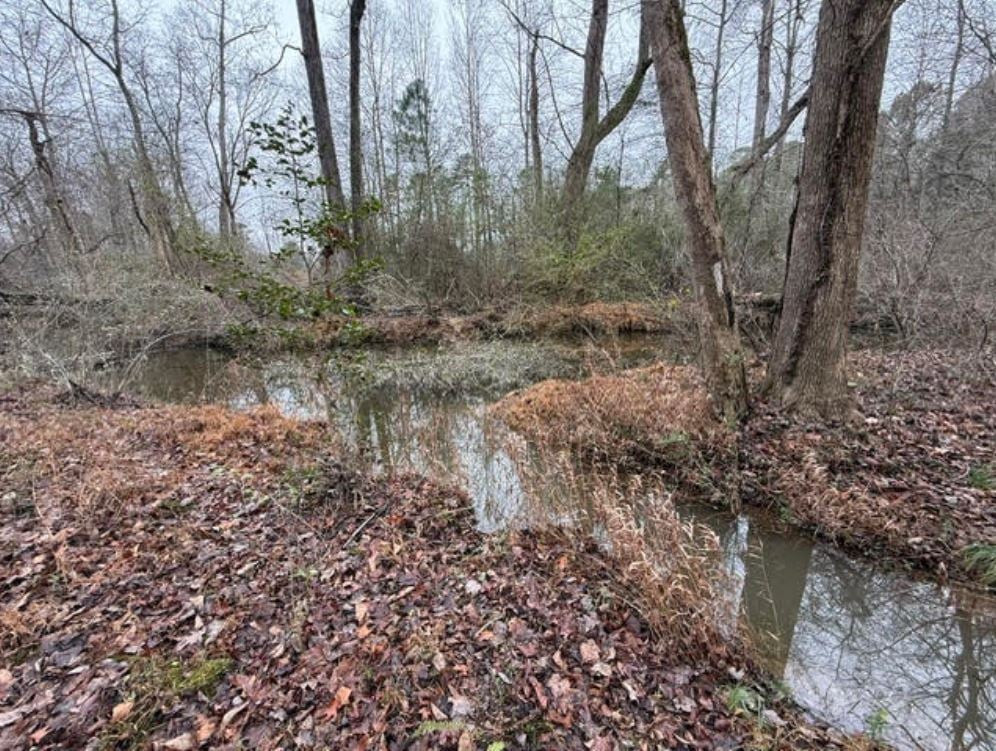 873 Six Mile Road Property Photo 18