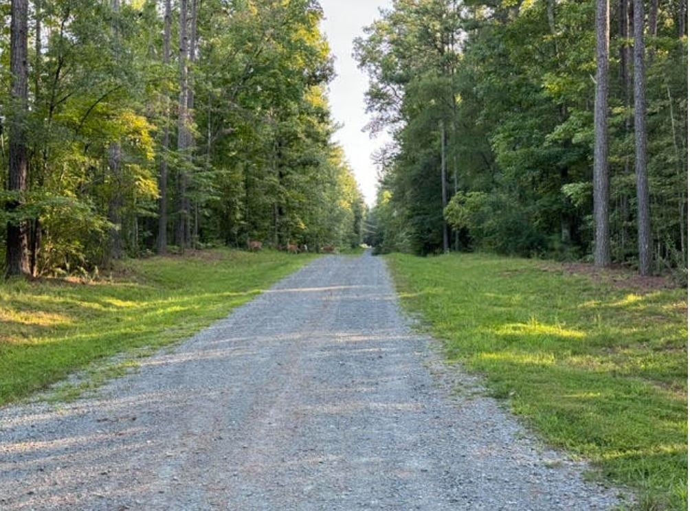 873 Six Mile Road Property Photo 28