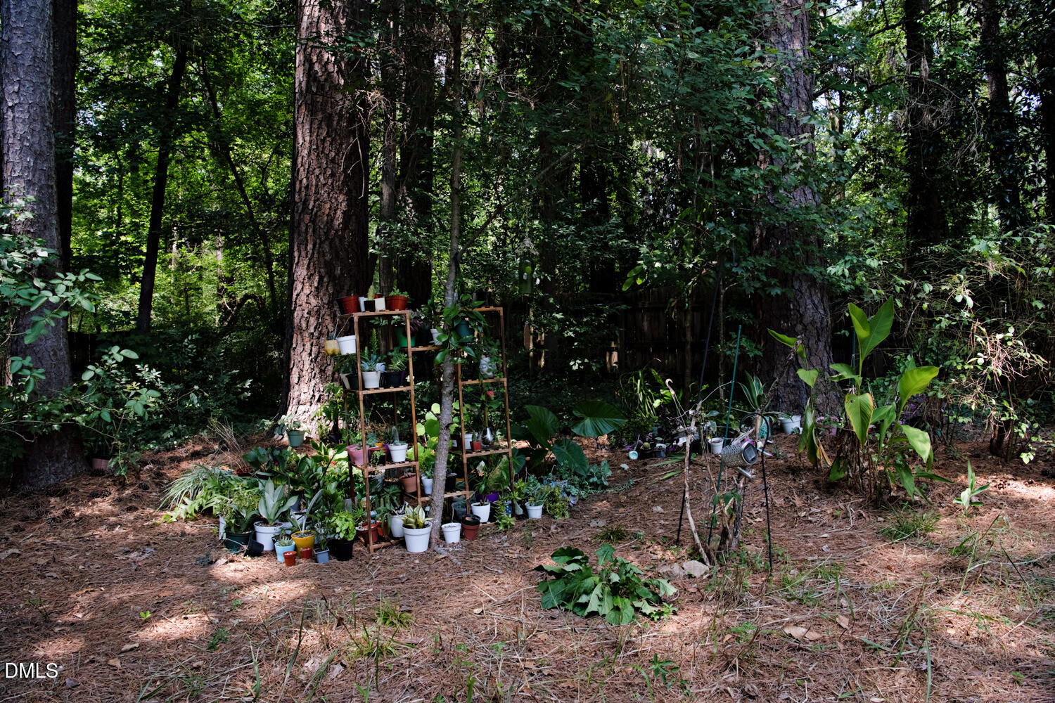 1495 Miriam Avenue Property Photo 38