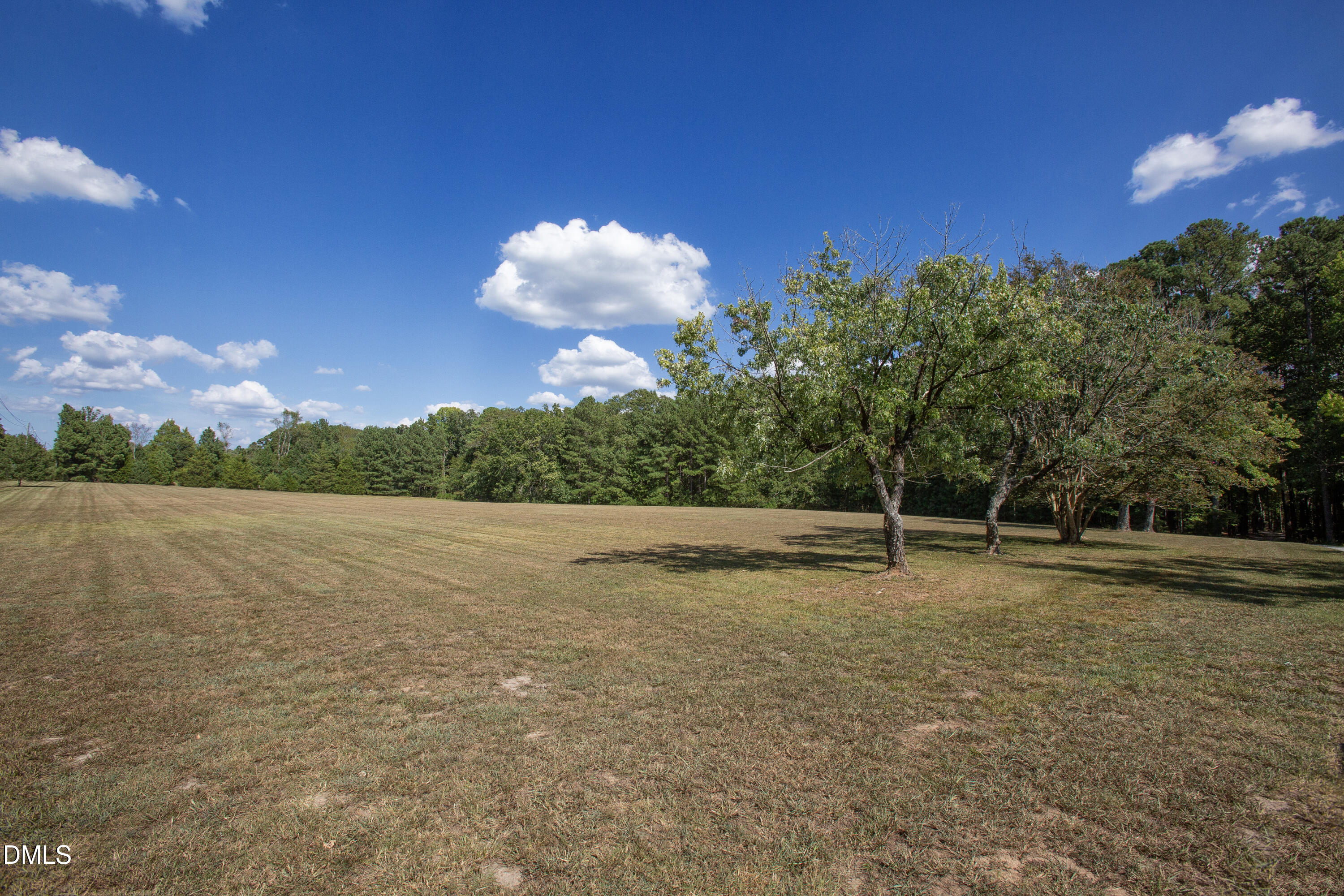 1716 Brassfield Road Property Photo 4