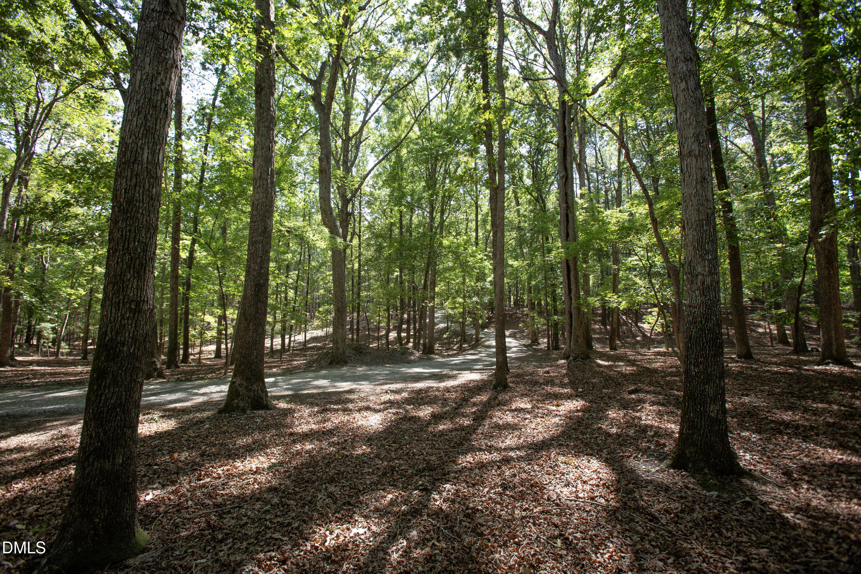 1716 Brassfield Road Property Photo 18