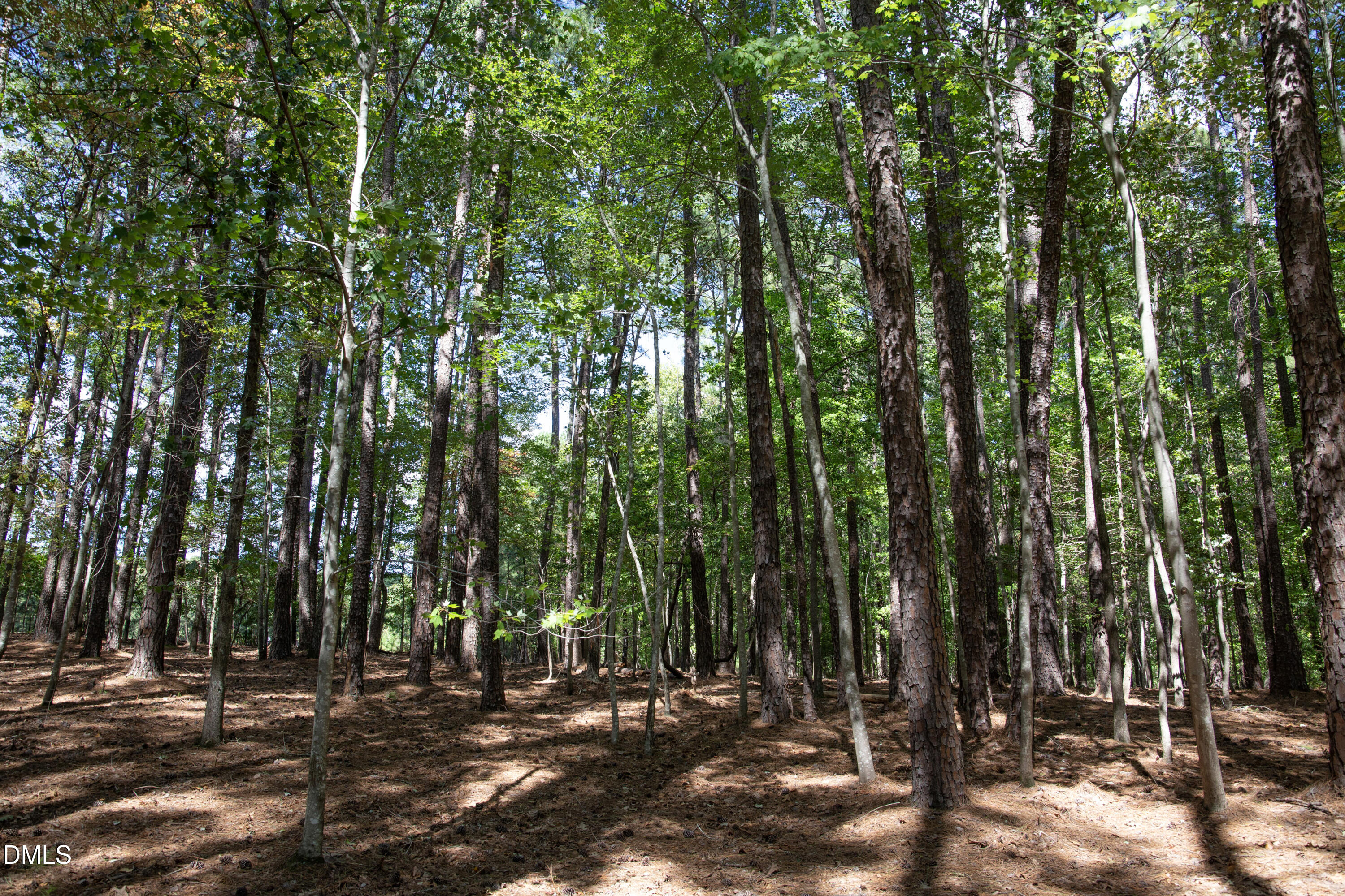 1716 Brassfield Road Property Photo 23