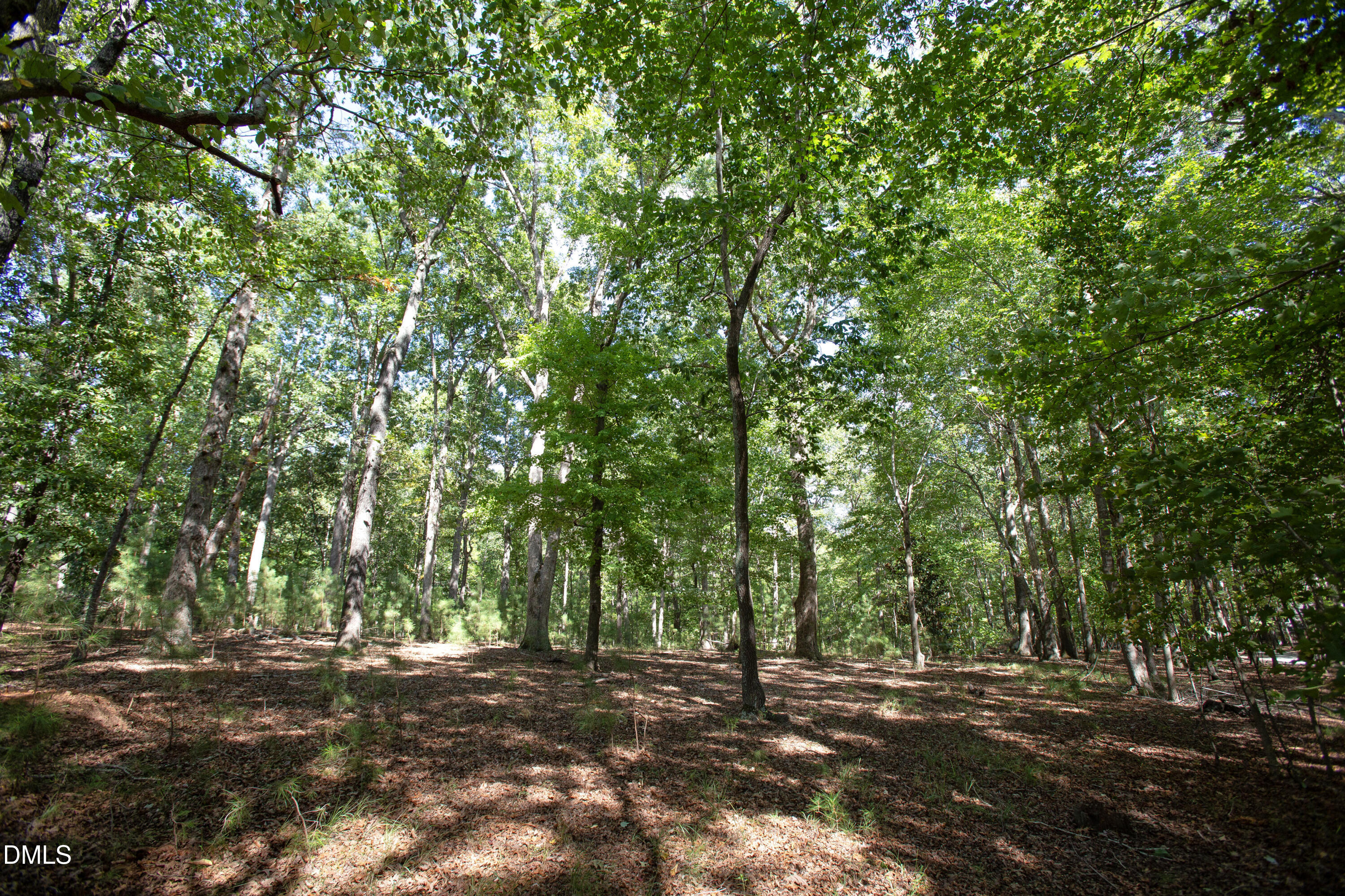 1716 Brassfield Road Property Photo 24