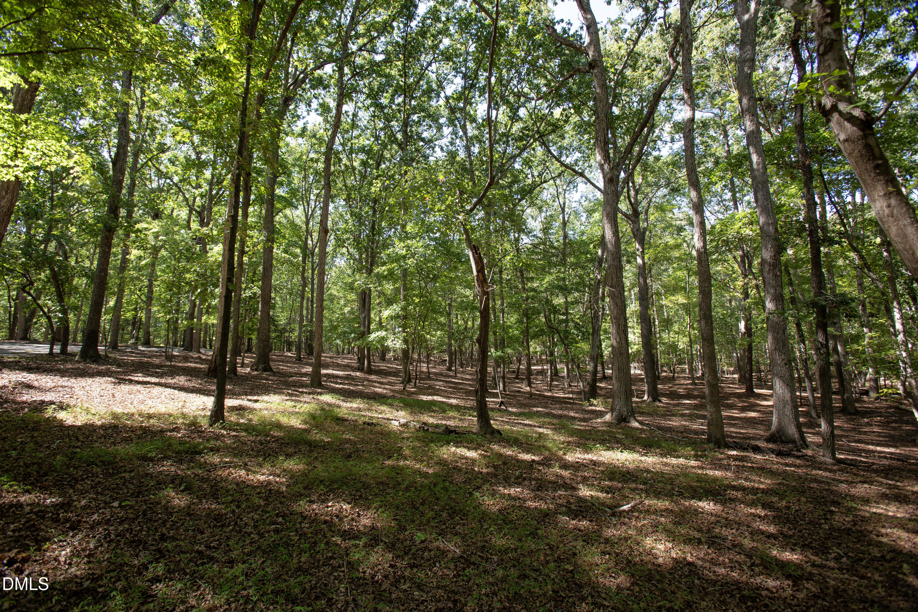 1716 Brassfield Road Property Photo 26
