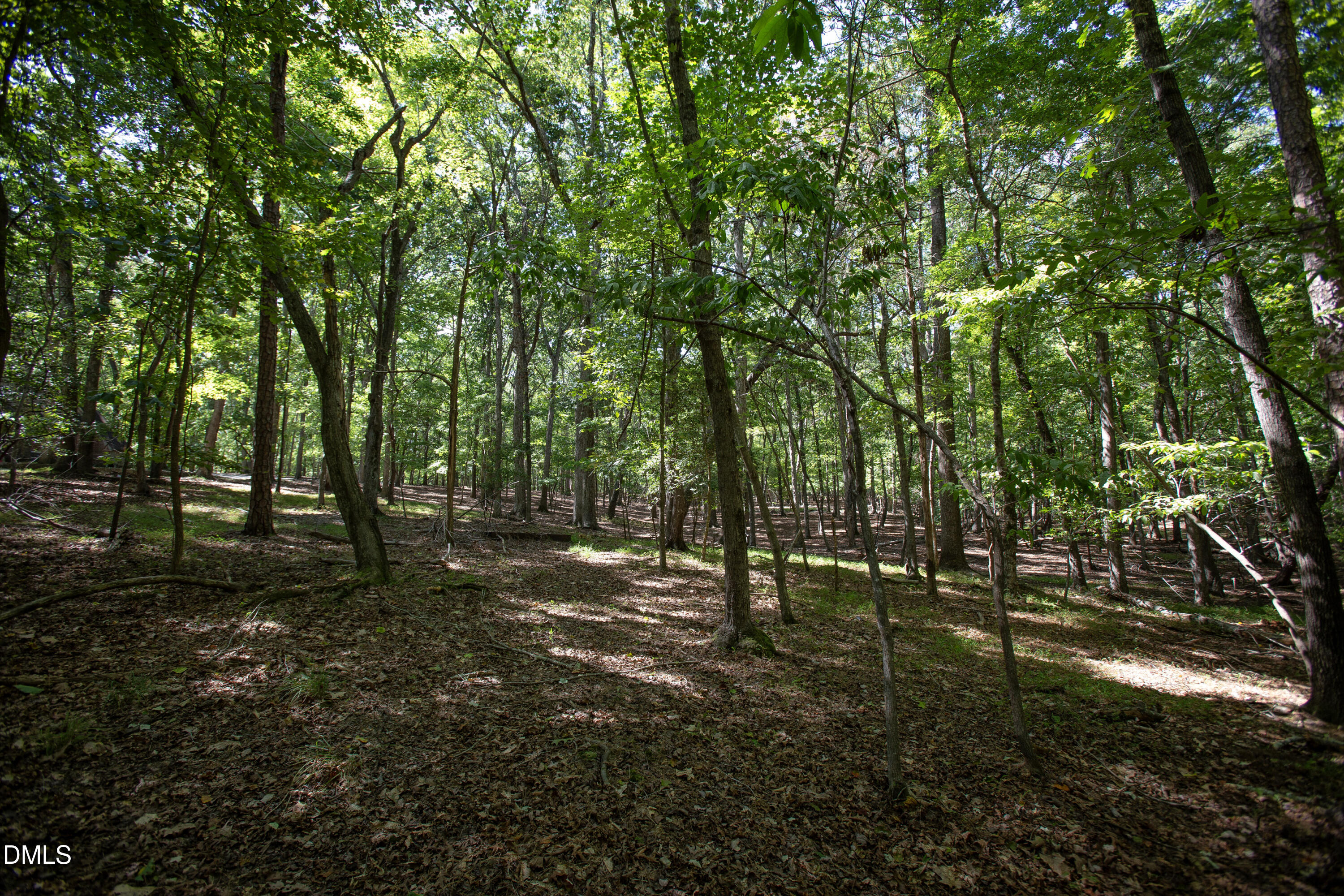 1716 Brassfield Road Property Photo 27