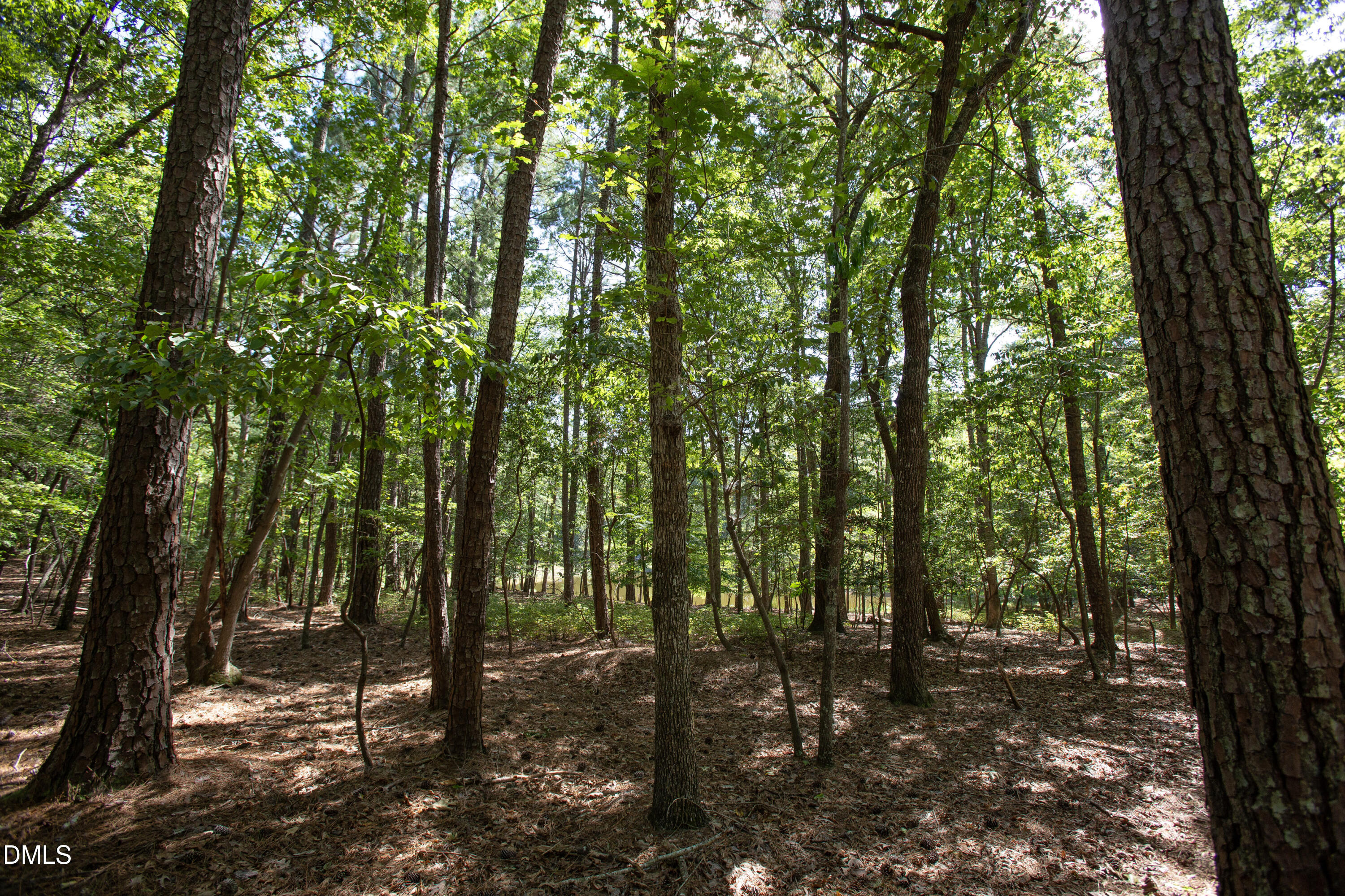 1716 Brassfield Road Property Photo 28