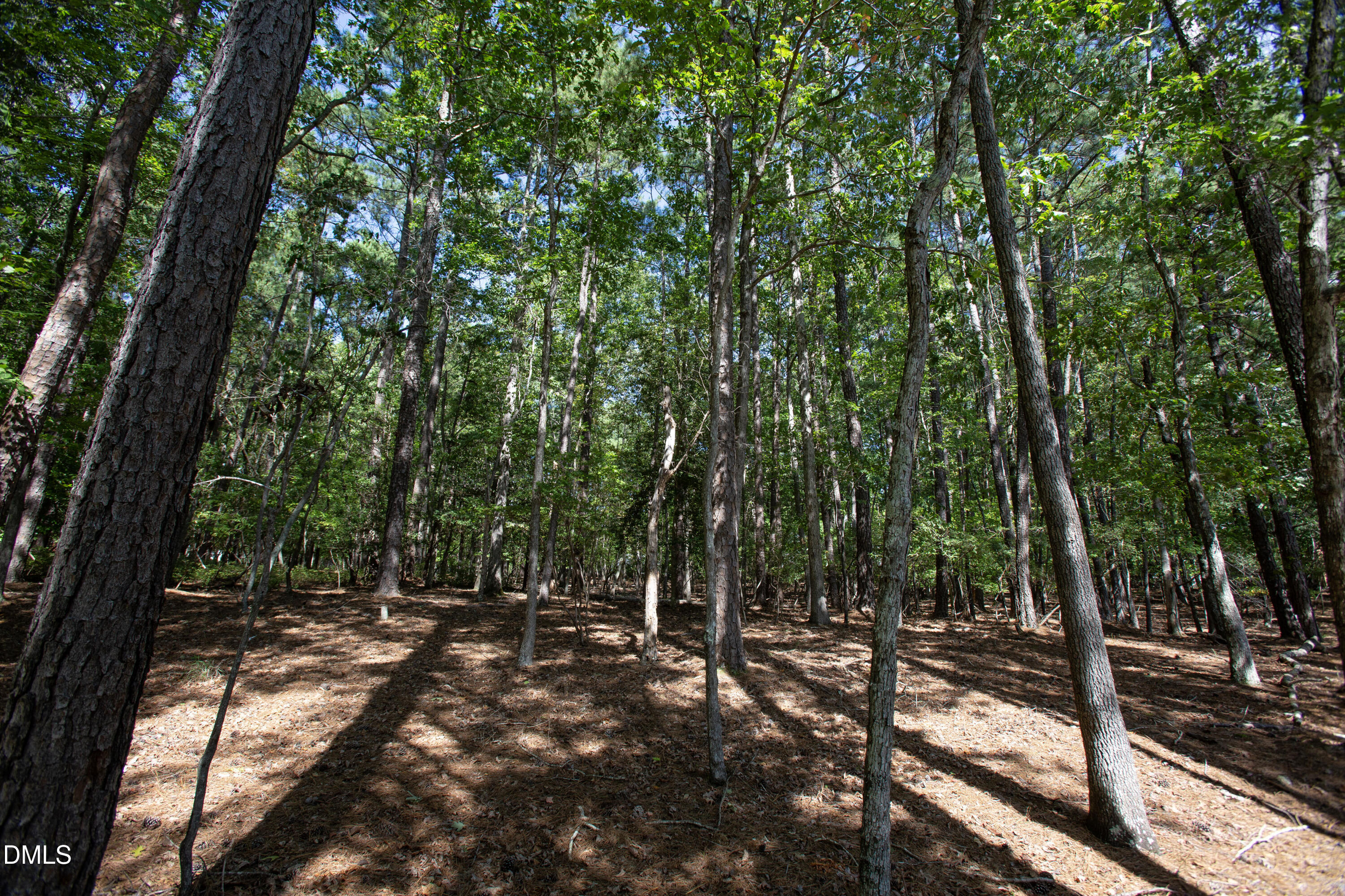 1716 Brassfield Road Property Photo 29