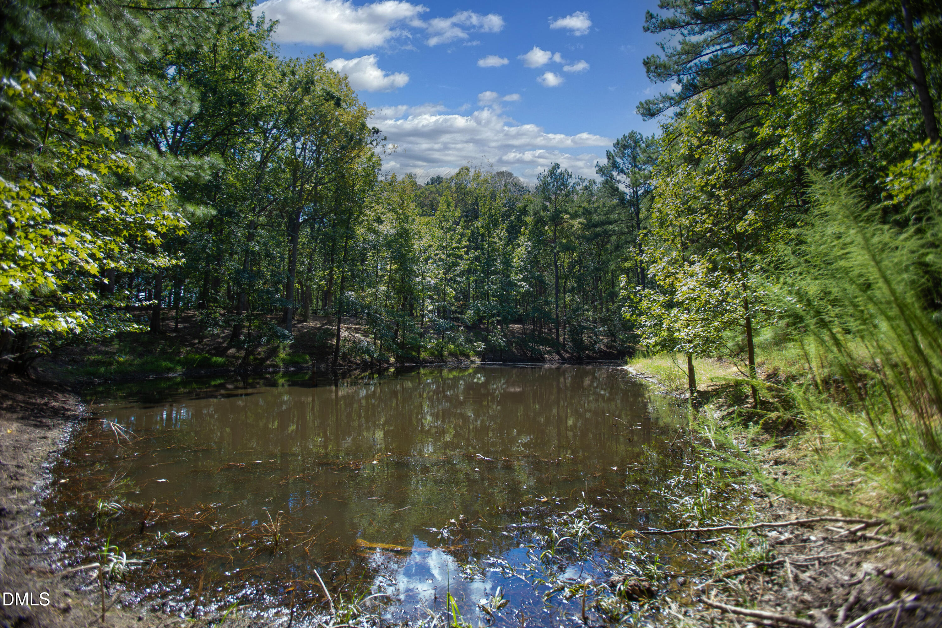 1716 Brassfield Road Property Photo 30