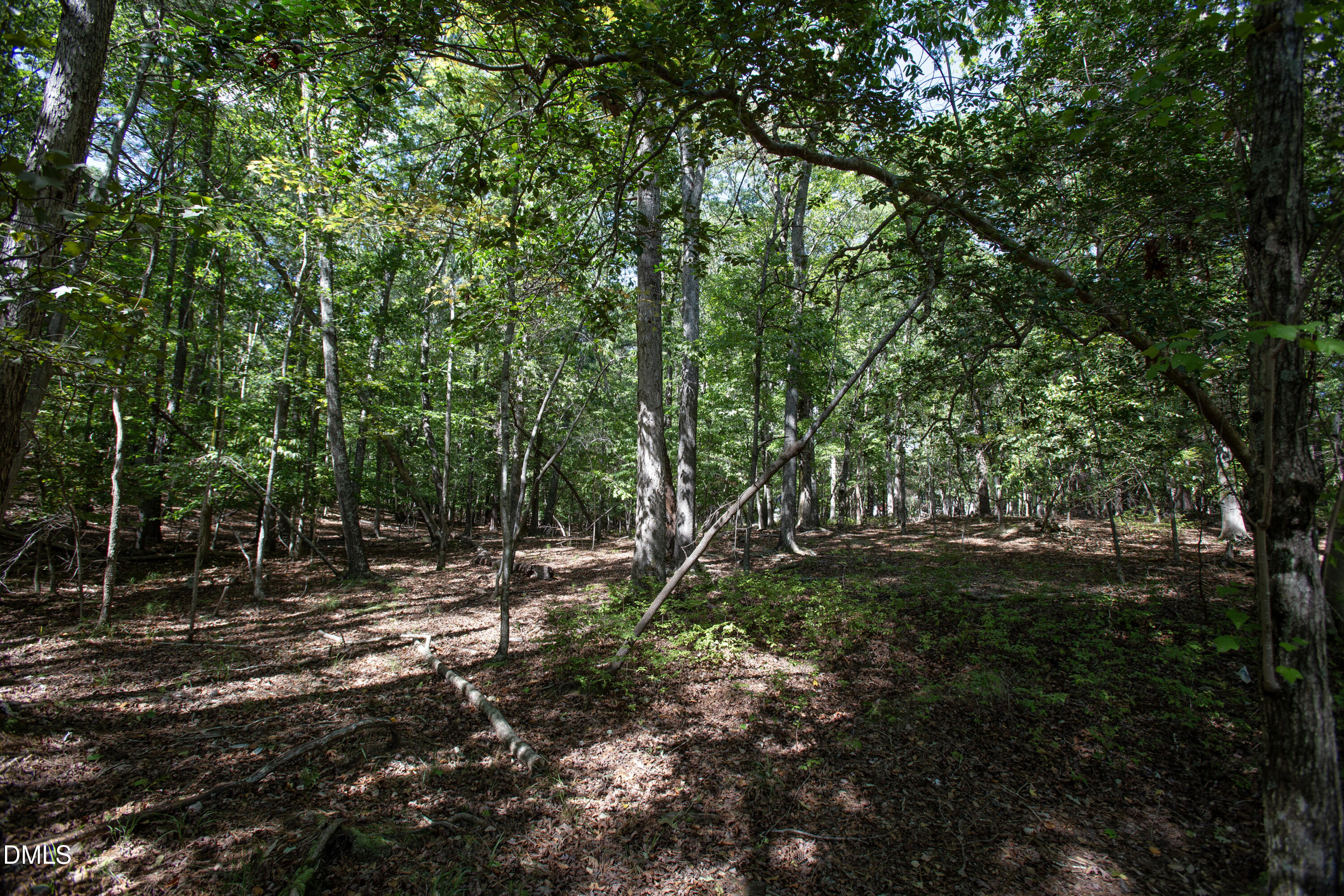 1716 Brassfield Road Property Photo 33