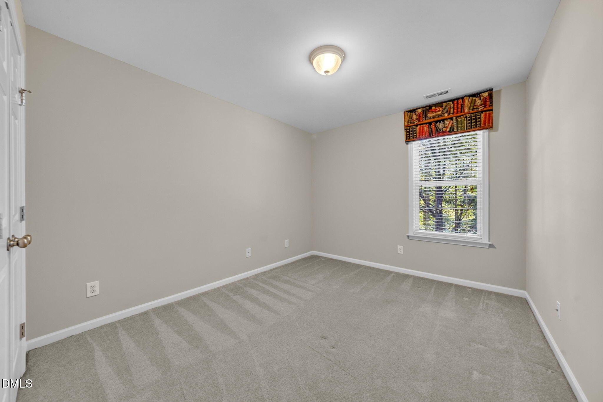 8255 Martello Lane Property Photo 21