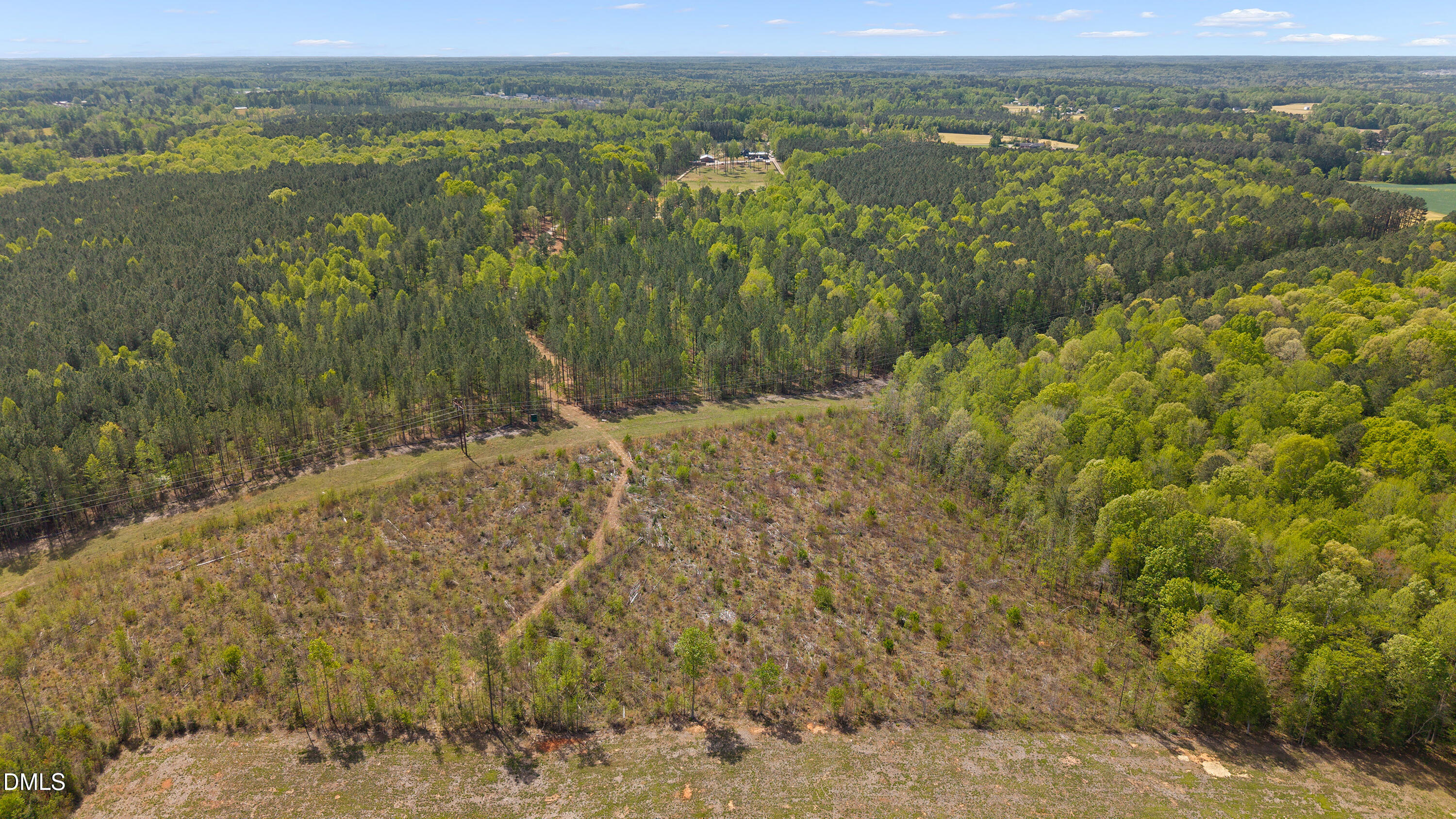 34.5 Acres Social Plain Road Property Photo 6