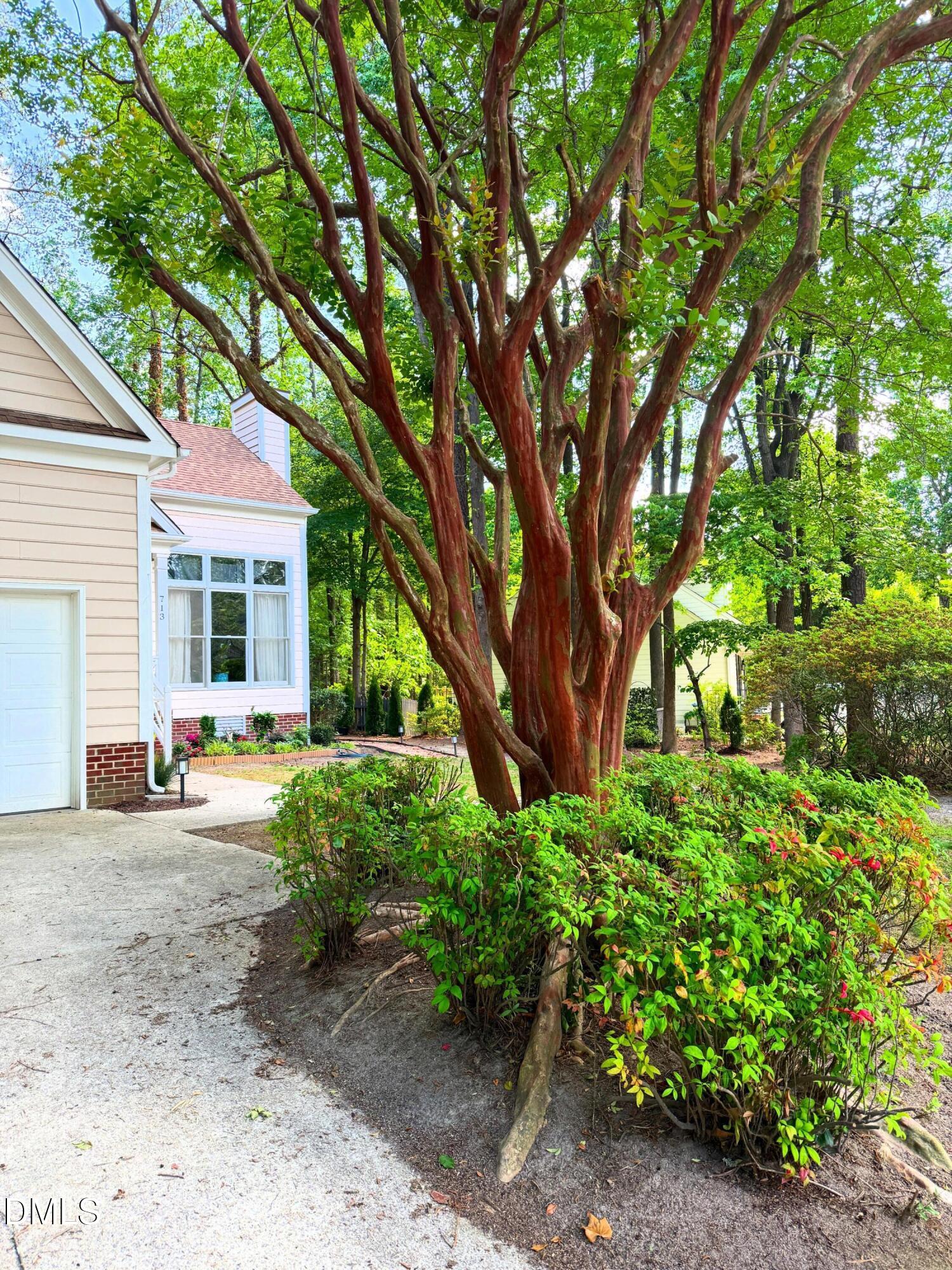 713 Beddingfield Drive Property Photo 15