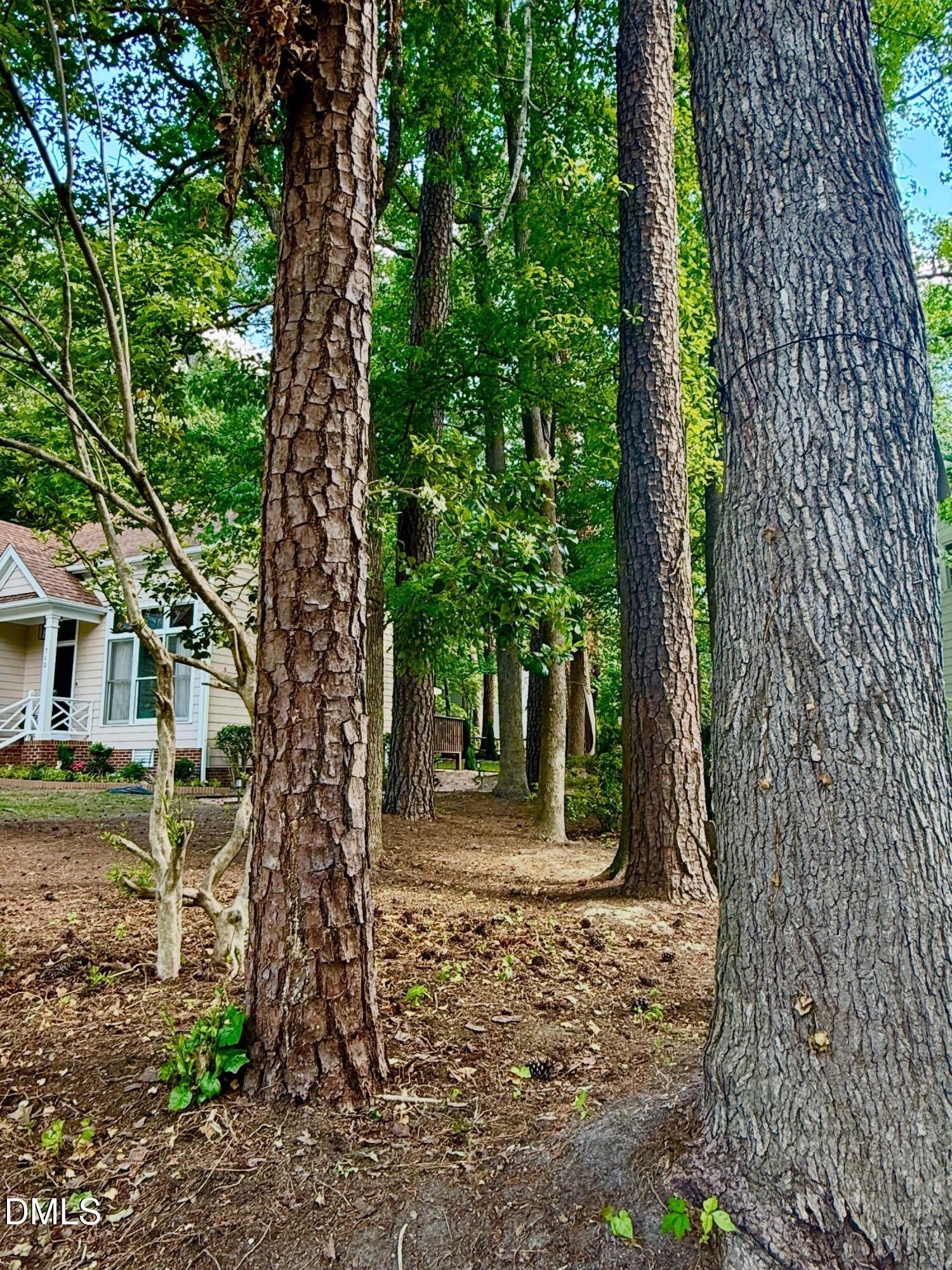 713 Beddingfield Drive Property Photo 16