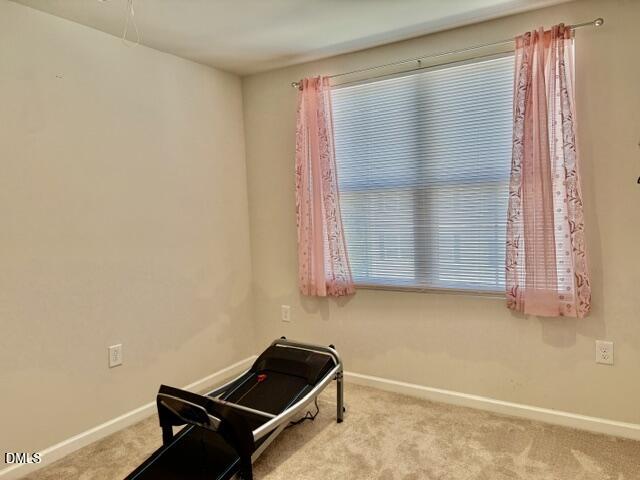 4007 Lush Grove Drive Property Photo 31