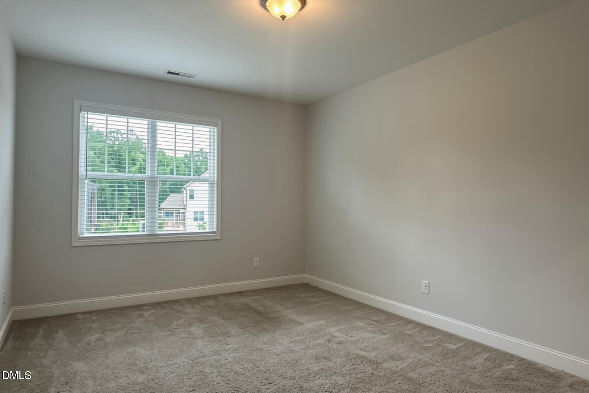 249 Lily Oak Drive Property Photo 46