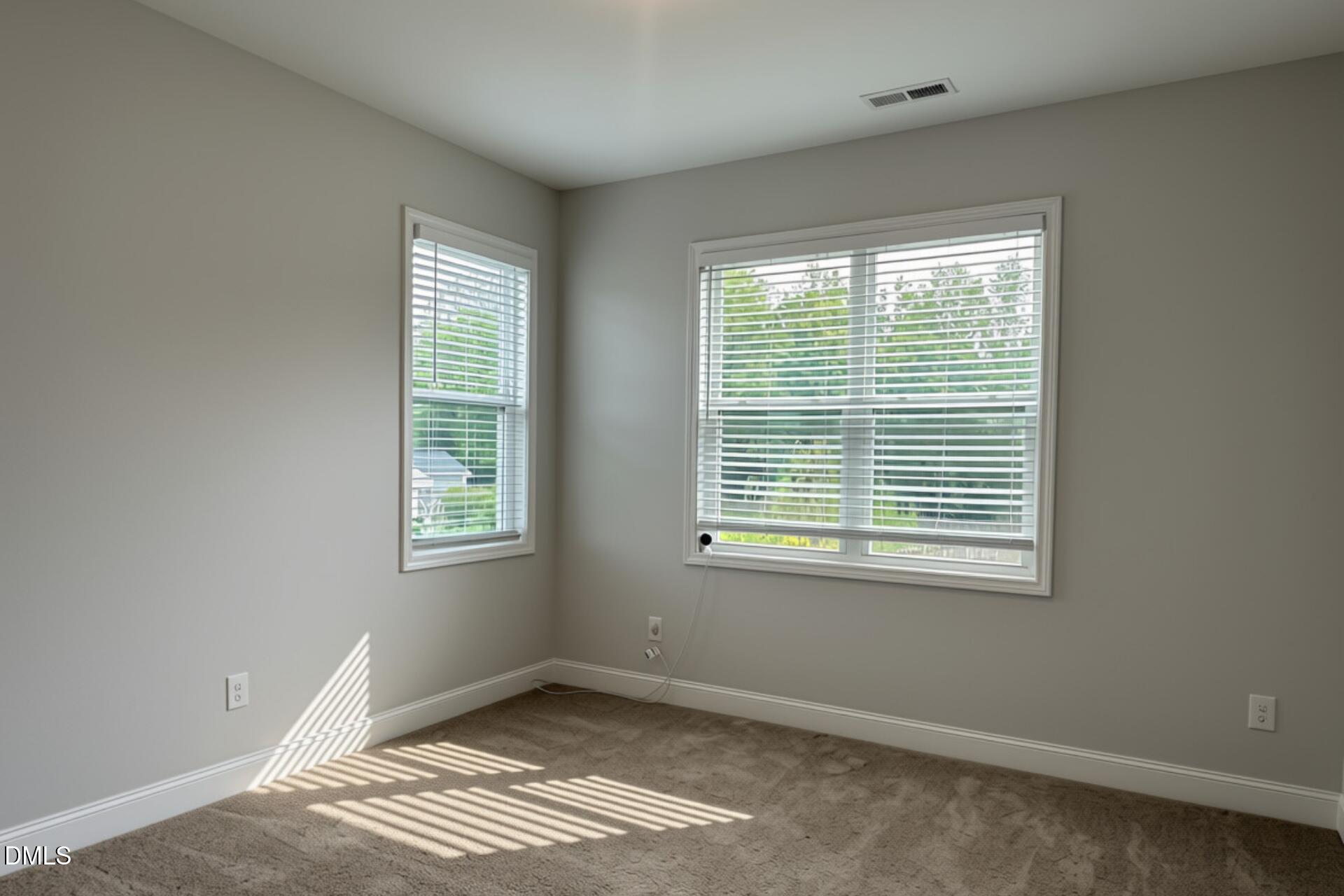249 Lily Oak Drive Property Photo 49