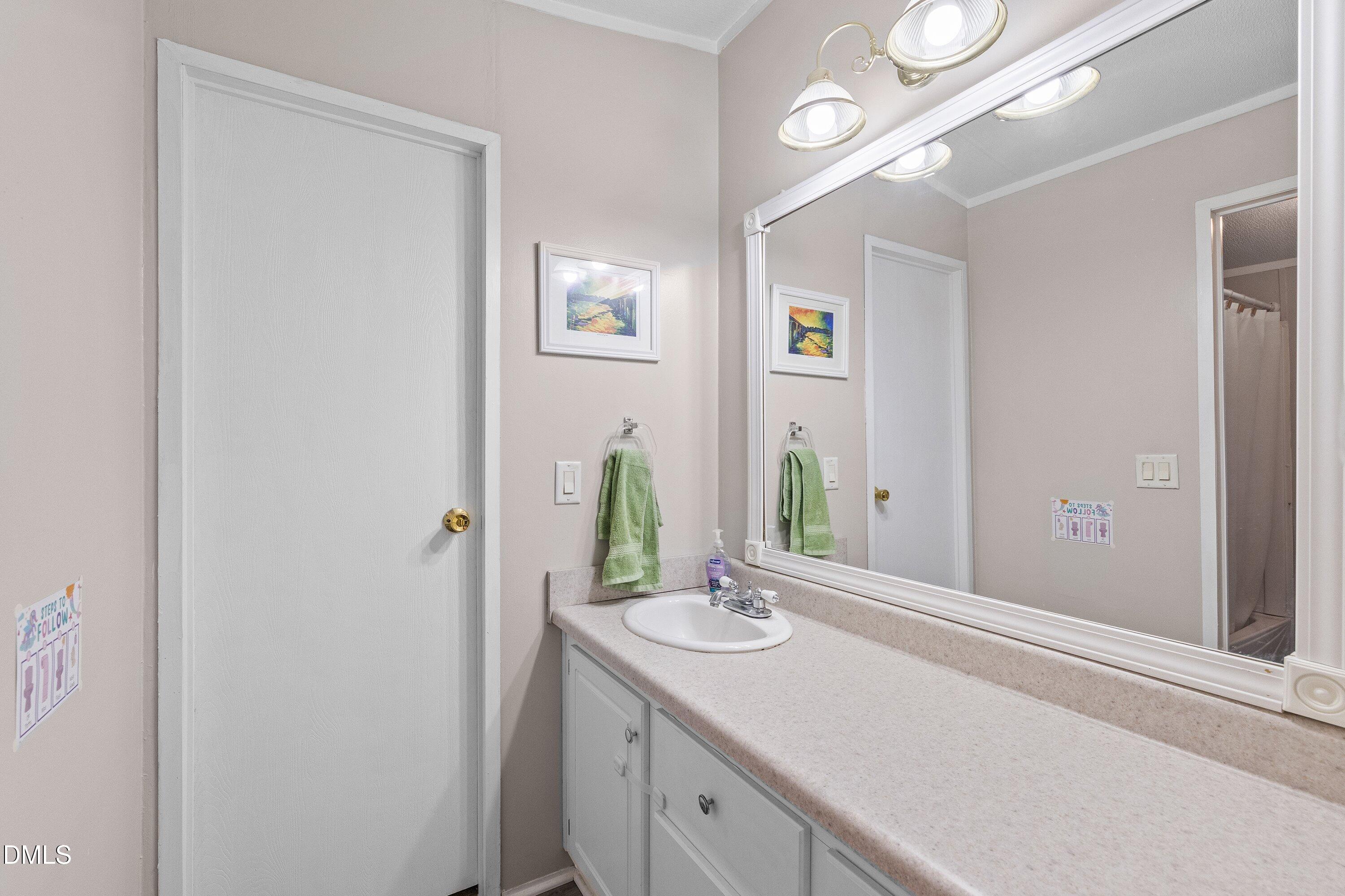 4405 Bushy Branch Drive Property Photo 30