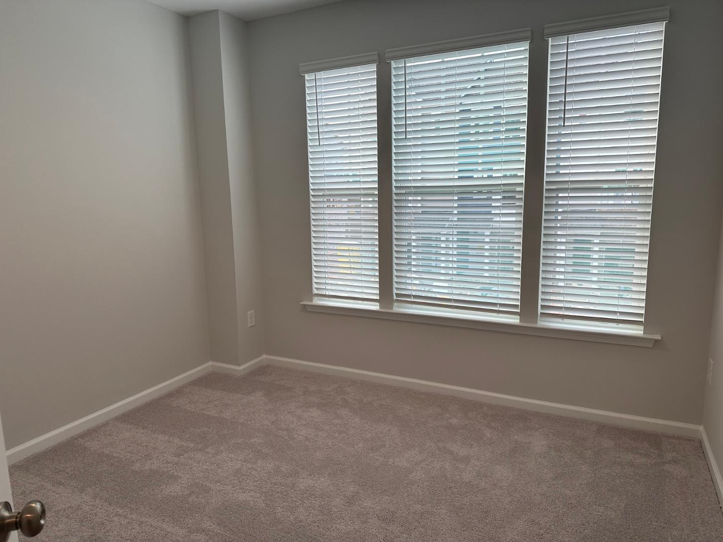 1106 Harmony Trail Property Photo 12