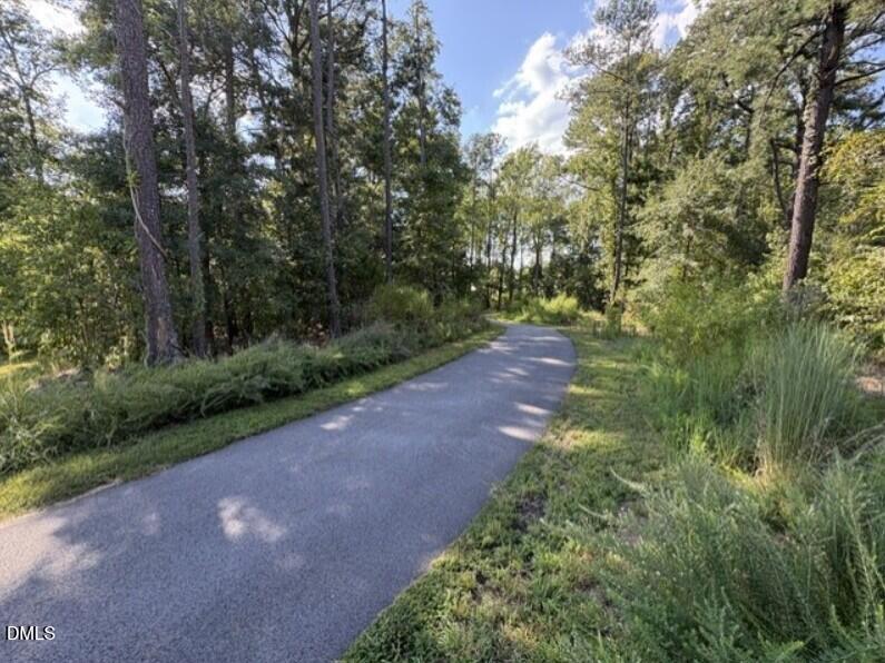 26 Cloudberry Court Property Photo 27