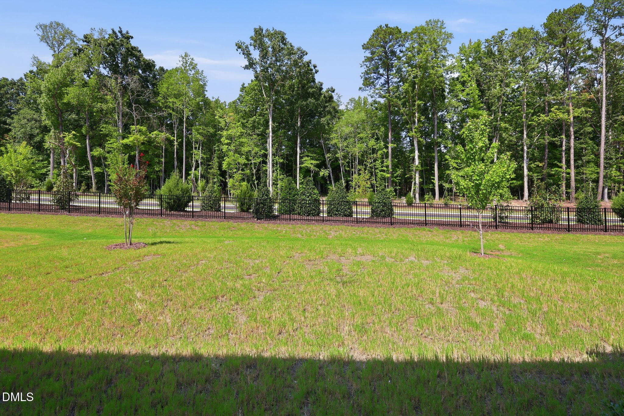 8009 Mint Whisper Way Property Photo 58