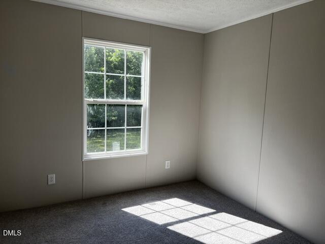 137 Hill Drive Property Photo 29