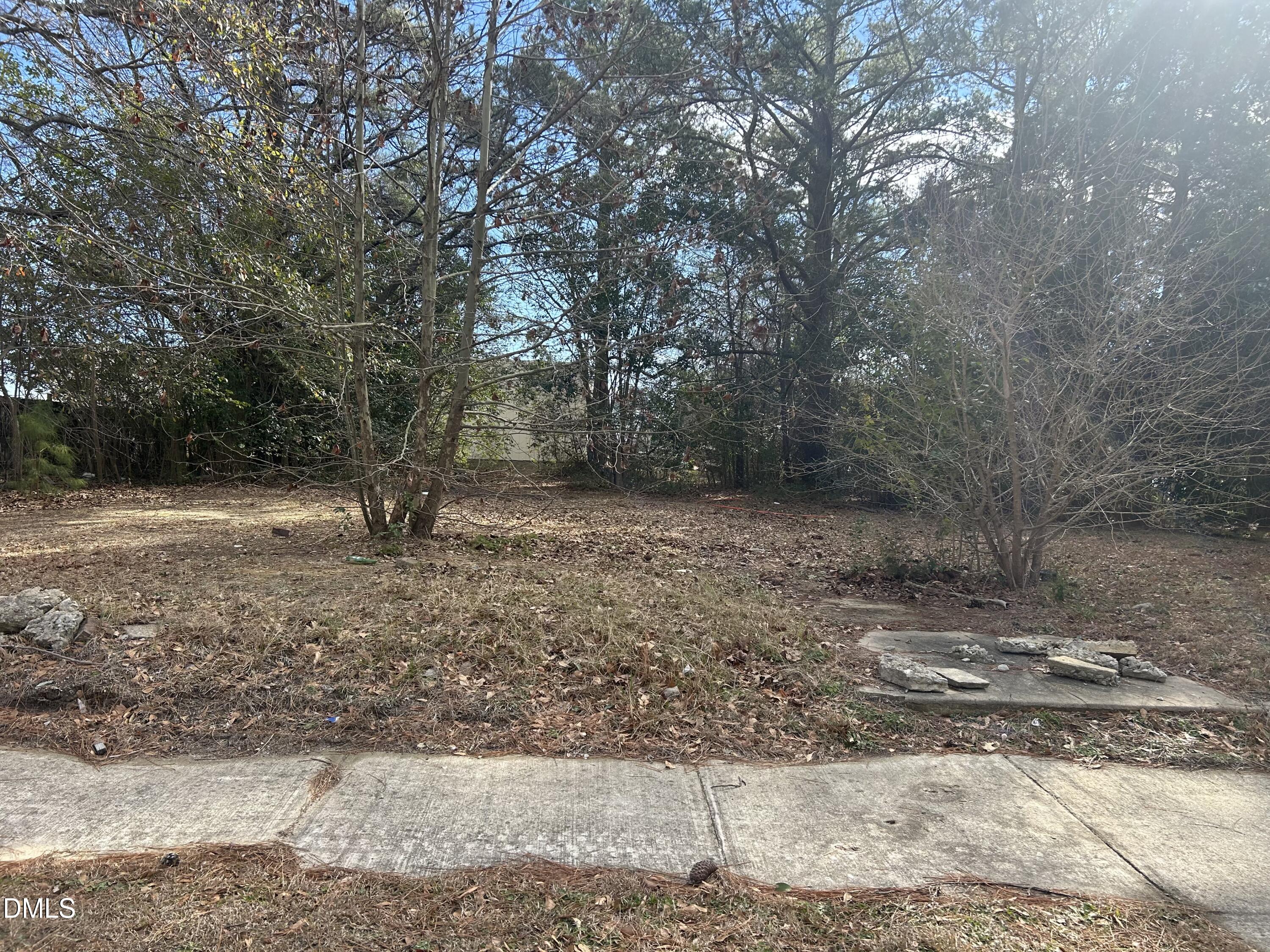 207 S Magnolia Avenue Property Photo 1