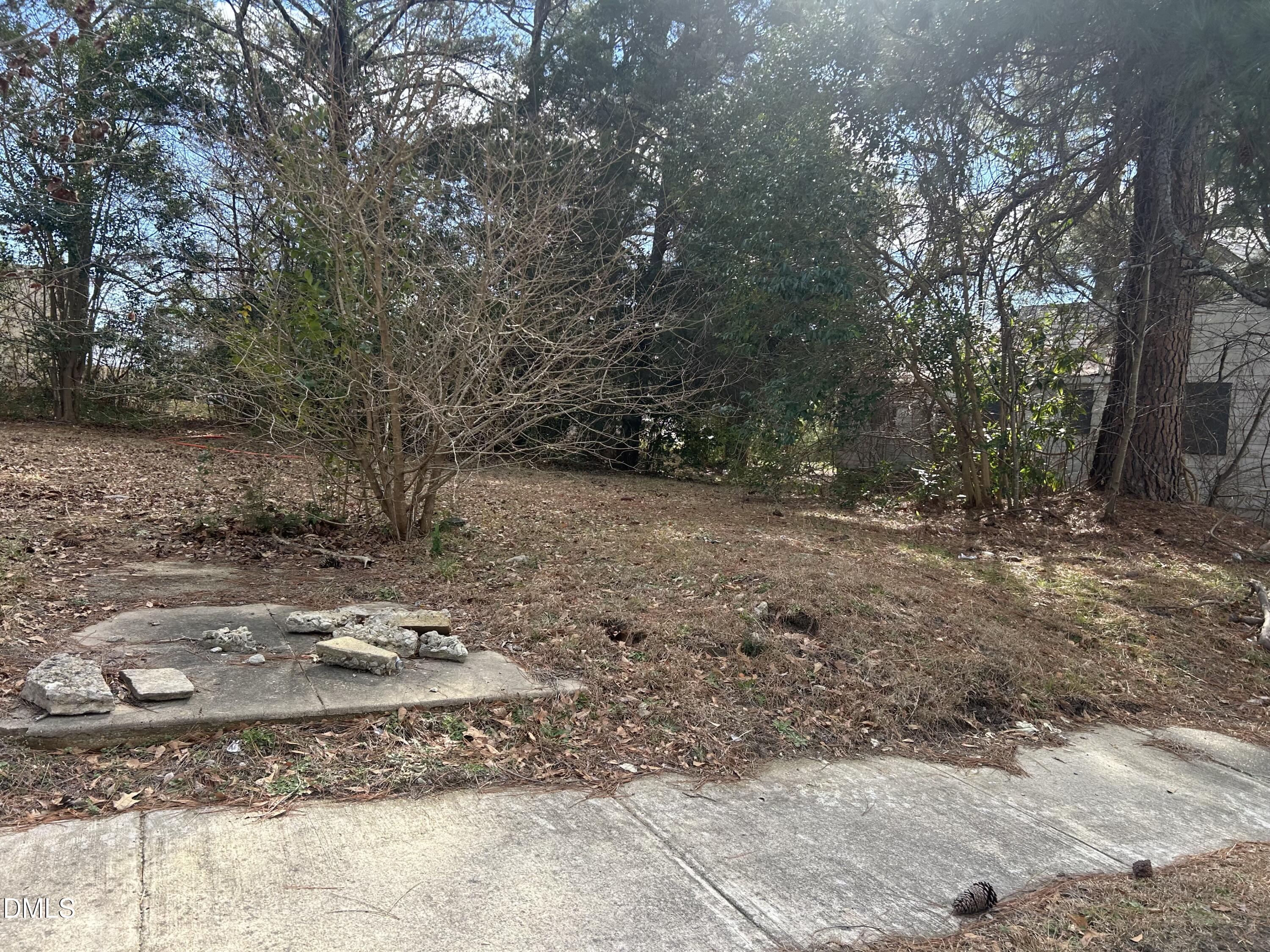 207 S Magnolia Avenue Property Photo 2