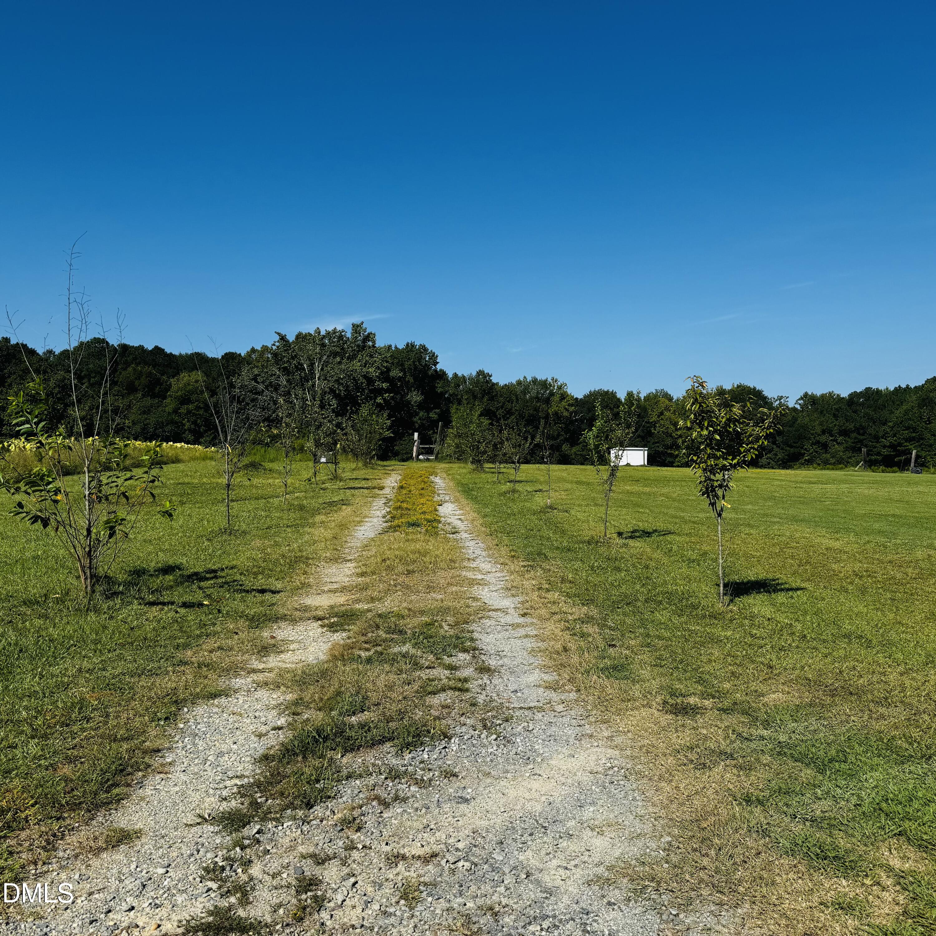 1376 Hickory Crossroads Road Property Photo 10