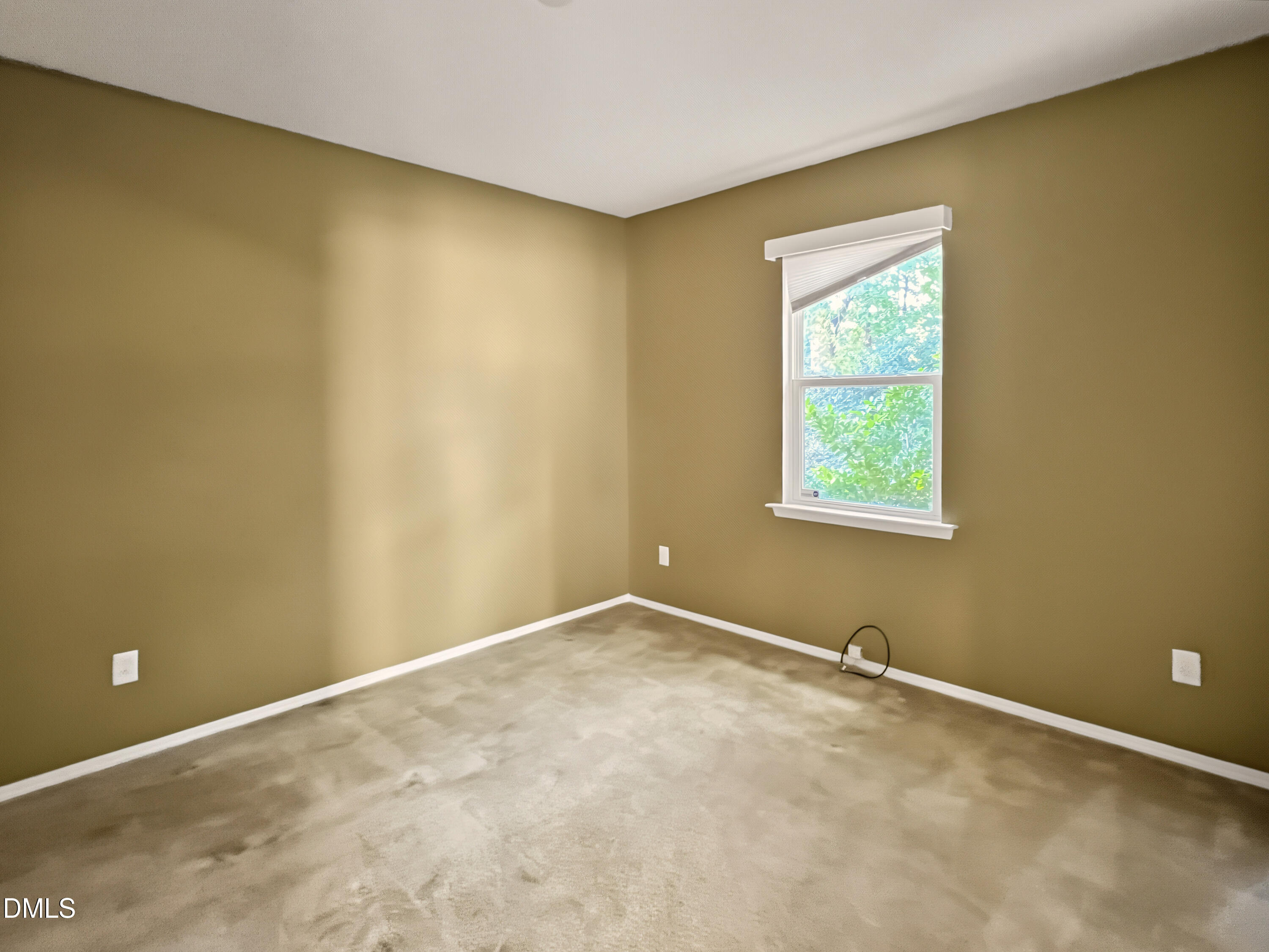 5417 Black Maple Drive Property Photo 9