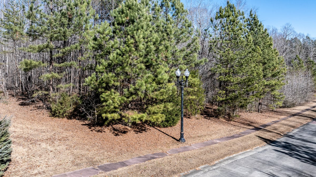 49 Larkington Drive Property Photo 1