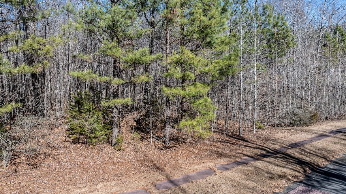 49 Larkington Drive Property Photo 12