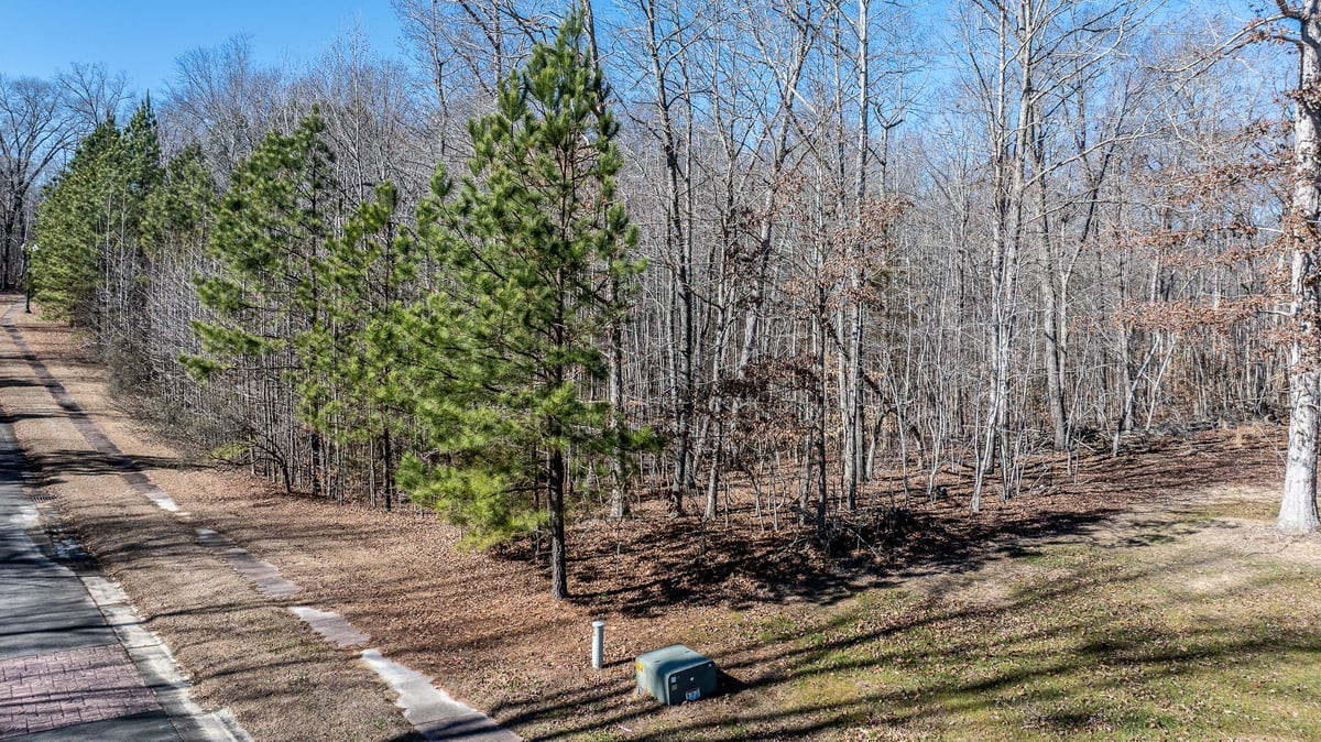 49 Larkington Drive Property Photo 13