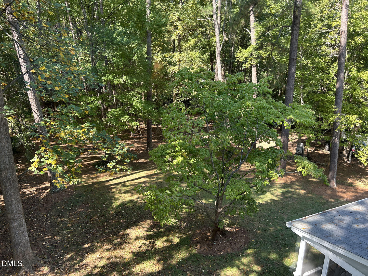 10313 Whitestone Road Property Photo 60