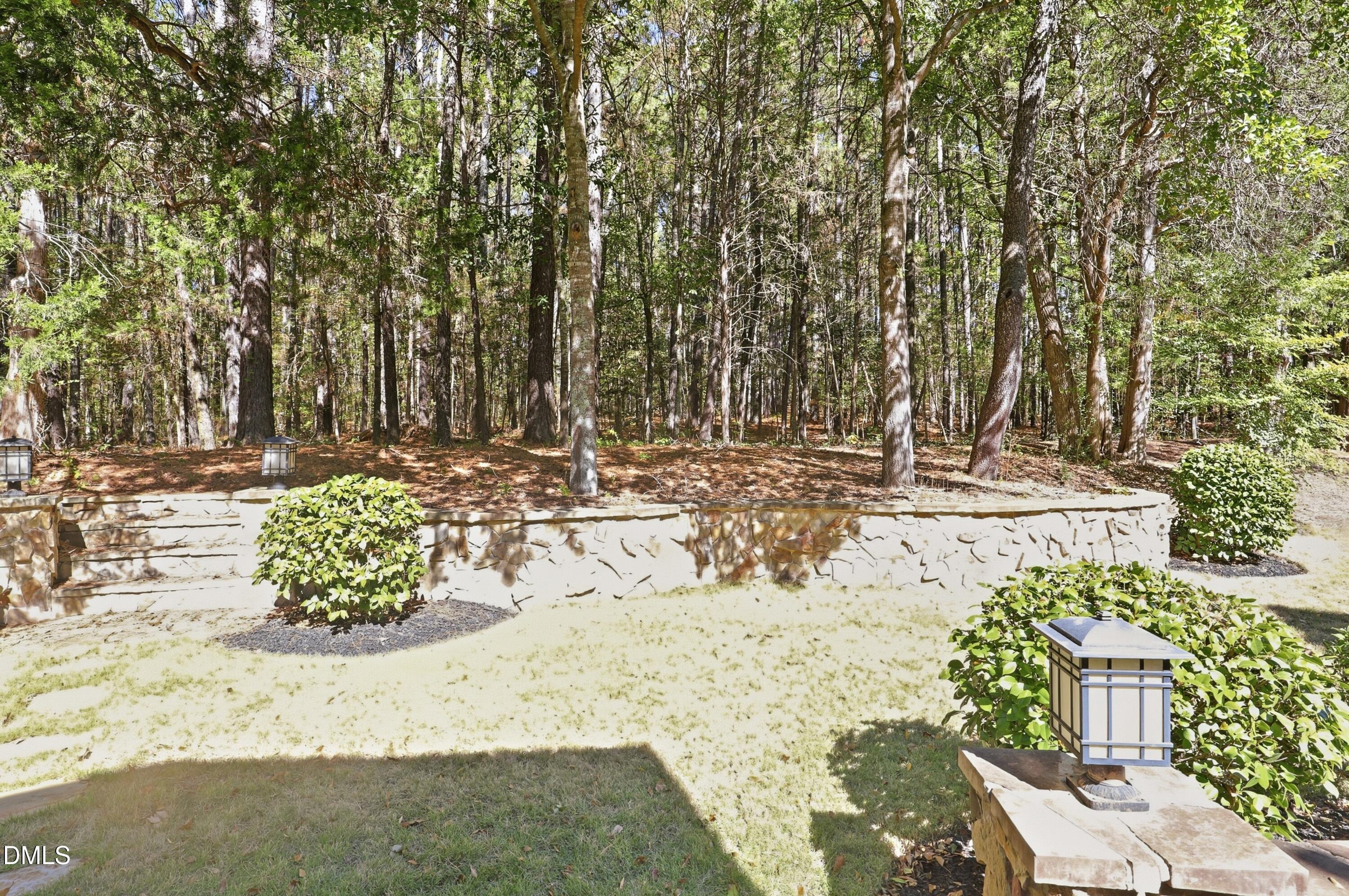 3805 Orange Cosmos Avenue Property Photo 69